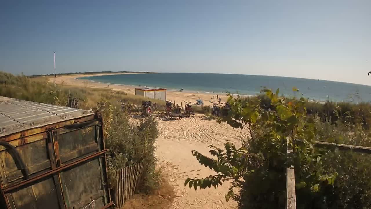 A sandy beach with calm blue water stretches to a curved horizon under a clear, sunny sky,  viewed from behind vegetation and a rusty container.