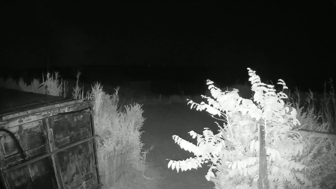 Saint-Denis-d'Oleron  Plage des Huttes Surf Beach Live Cam  - Rochefort, Charente-Maritime, Nouvelle-Aquitaine, France 