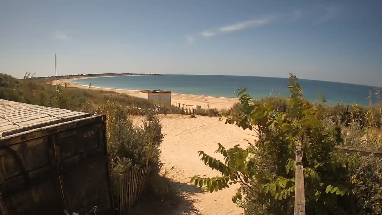 A sandy path leads to a beach with calm blue water under a sunny sky, partially obscured by vegetation and a weathered container.