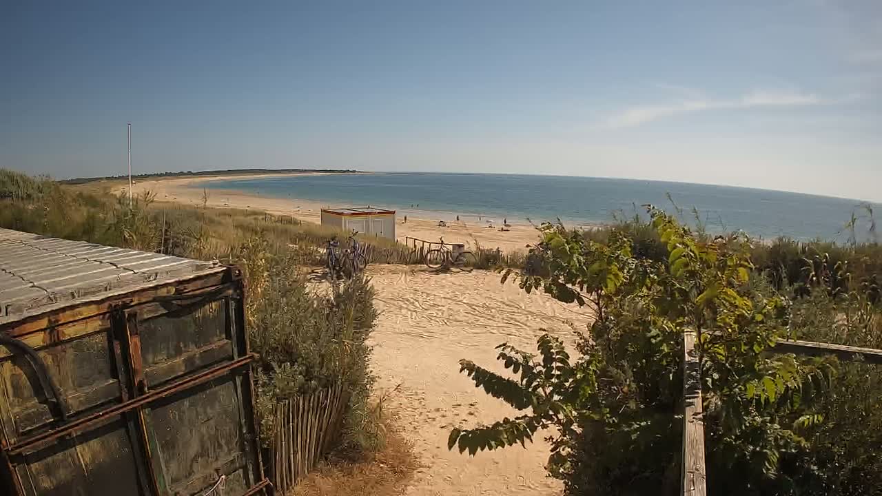 A sandy beach with a calm ocean under a clear blue sky is partially visible from behind overgrown vegetation and a rusty container.