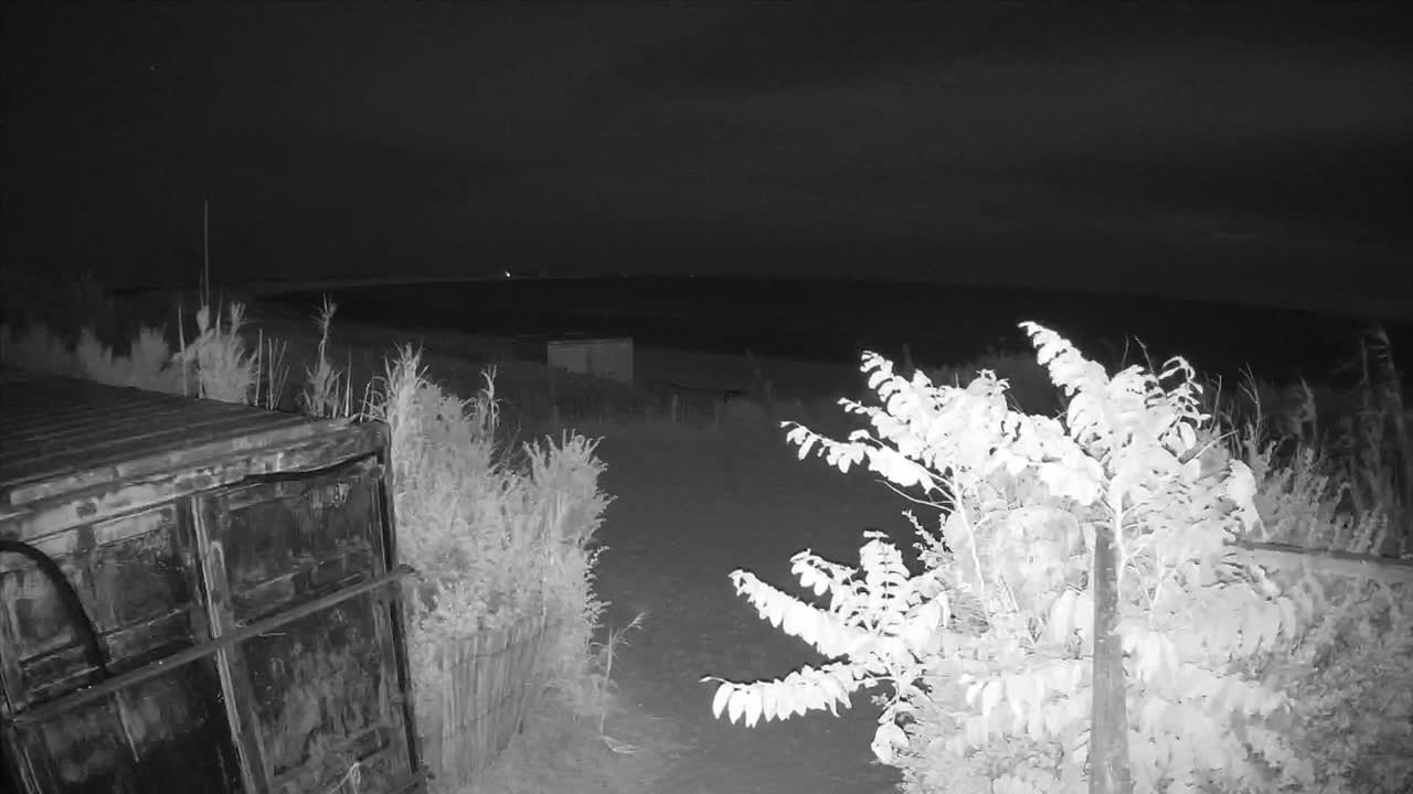 Saint-Denis-d'Oleron  Plage des Huttes Surf Beach Live Cam  - Rochefort, Charente-Maritime, Nouvelle-Aquitaine, France 