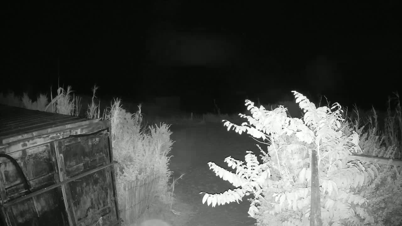 Saint-Denis-d'Oleron  Plage des Huttes Surf Beach Live Cam  - Rochefort, Charente-Maritime, Nouvelle-Aquitaine, France 