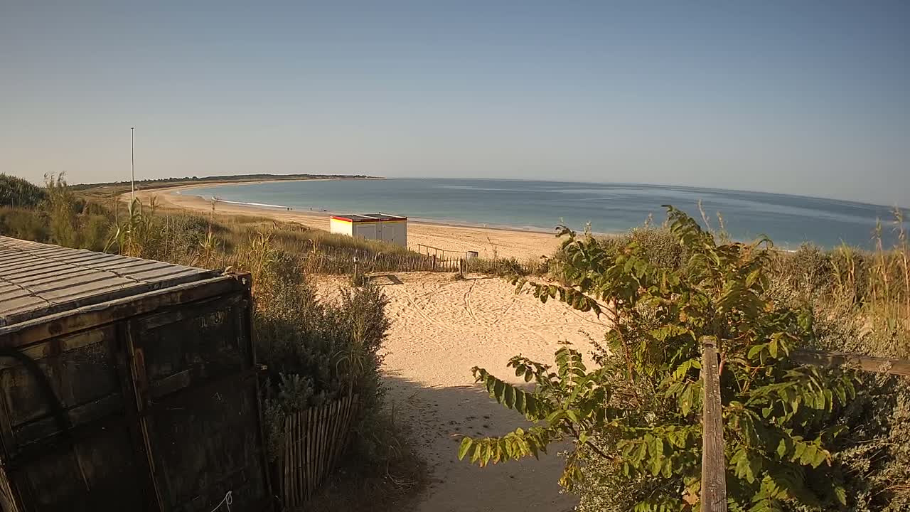 A sandy beach with calm ocean water stretches along a curved coastline, partially obscured by dunes and vegetation, with a small building near the shore and a dark container in the foreground on a sunny day.