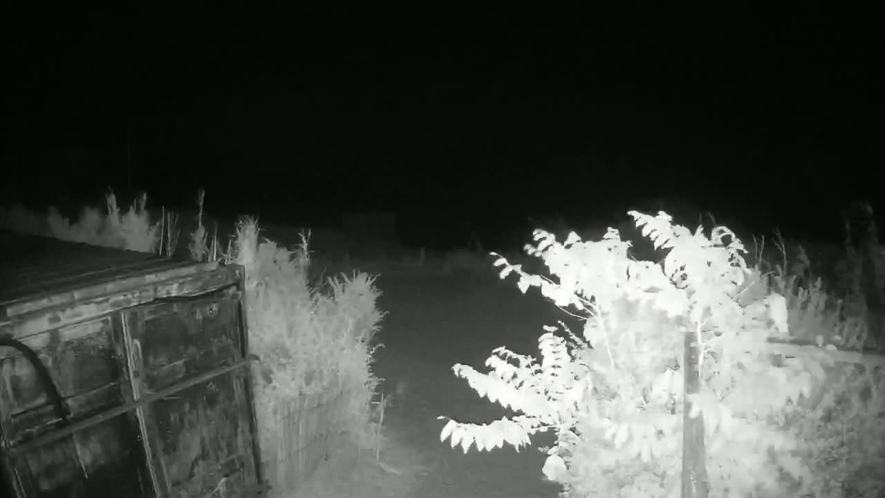 Saint-Denis-d'Oleron  Plage des Huttes Surf Beach Live Cam  - Rochefort, Charente-Maritime, Nouvelle-Aquitaine, France 
