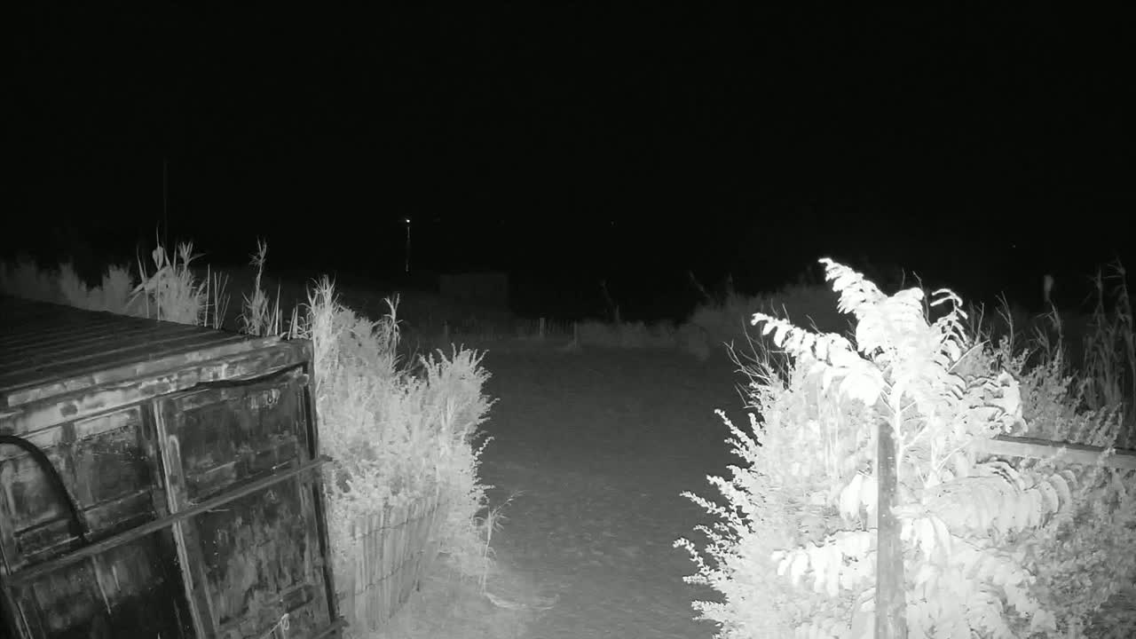 Saint-Denis-d'Oleron  Plage des Huttes Surf Beach Live Cam  - Rochefort, Charente-Maritime, Nouvelle-Aquitaine, France 