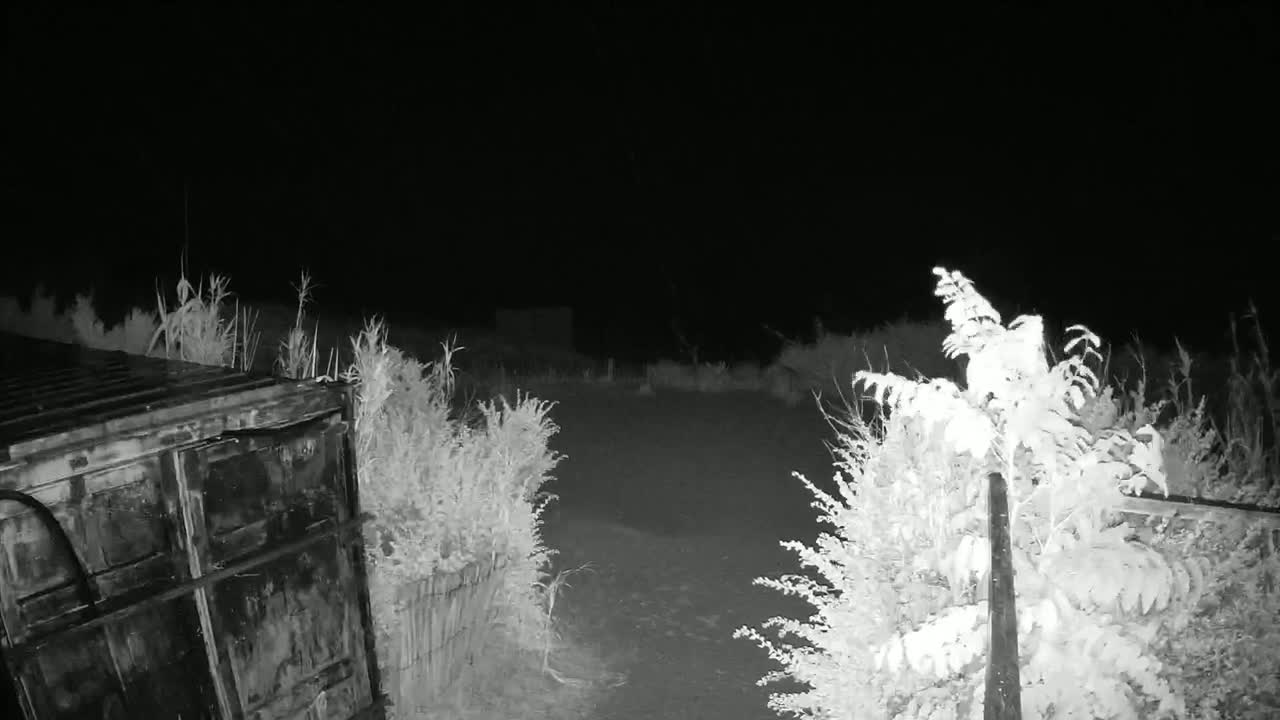 Saint-Denis-d'Oleron  Plage des Huttes Surf Beach Live Cam  - Rochefort, Charente-Maritime, Nouvelle-Aquitaine, France 