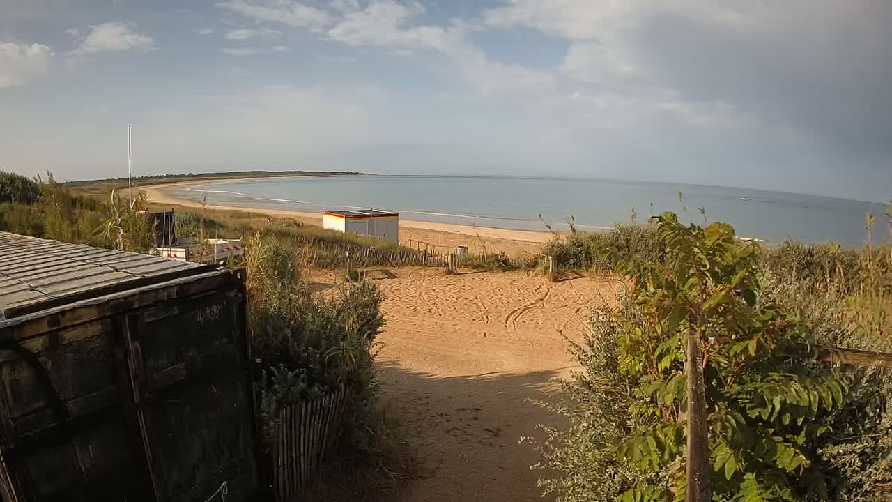 A sandy beach with calm ocean waters stretches to a distant shoreline under a partly cloudy sky, viewed from behind vegetation and a section of a dark metal container.