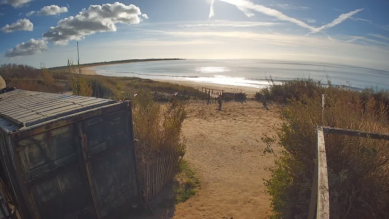 A bright moon illuminates a dark, nighttime scene of a body of water near a landmass under a partly cloudy sky.