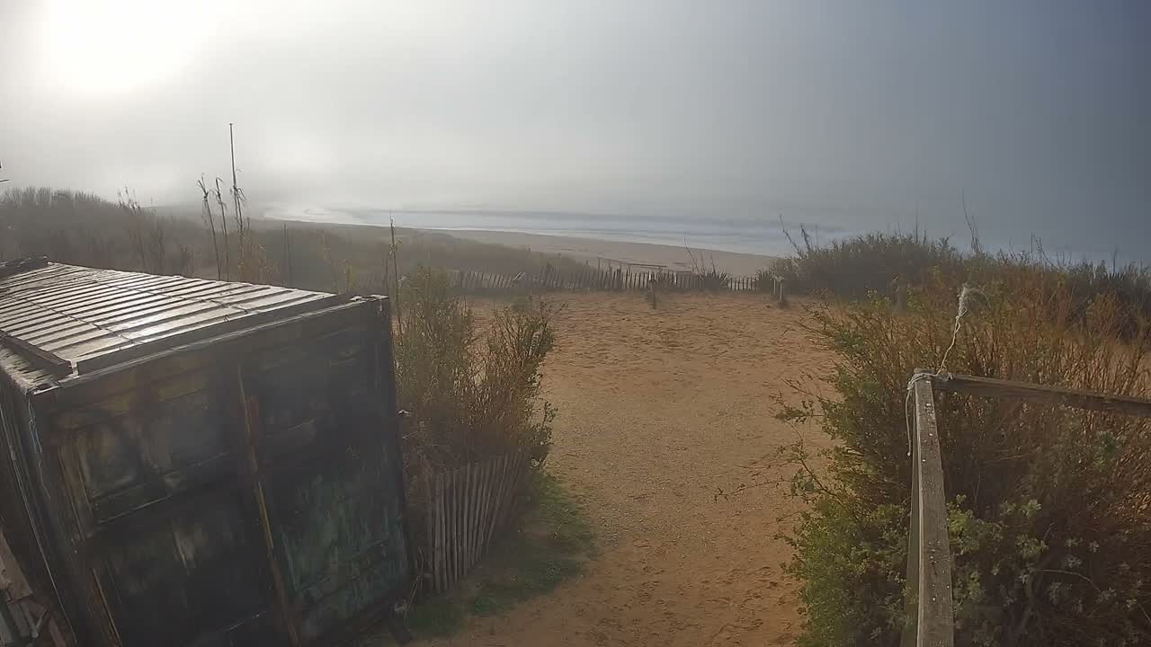 A clear and sunny day with scattered clouds illuminates a wide, curved sandy beach with crashing waves, bordered by vegetated dunes featuring a path and wooden fencing, with a weathered corrugated metal structure in the foreground.