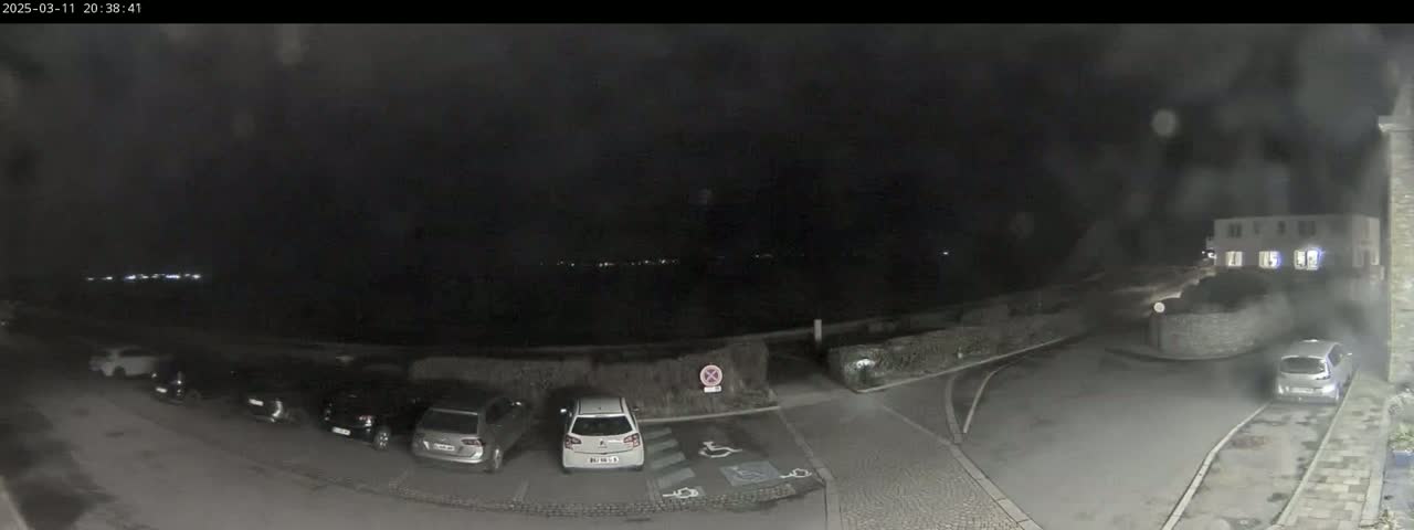 A nighttime, dimly lit parking lot with several cars parked, and a building faintly visible in the background under overcast conditions.