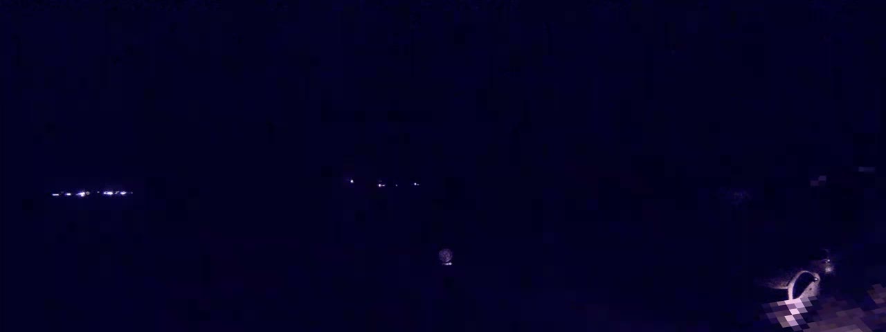 Ile de Batz Island View from Roscoff Live Cam - 	Morlaix, 	Finistère, 	Bretagne, France