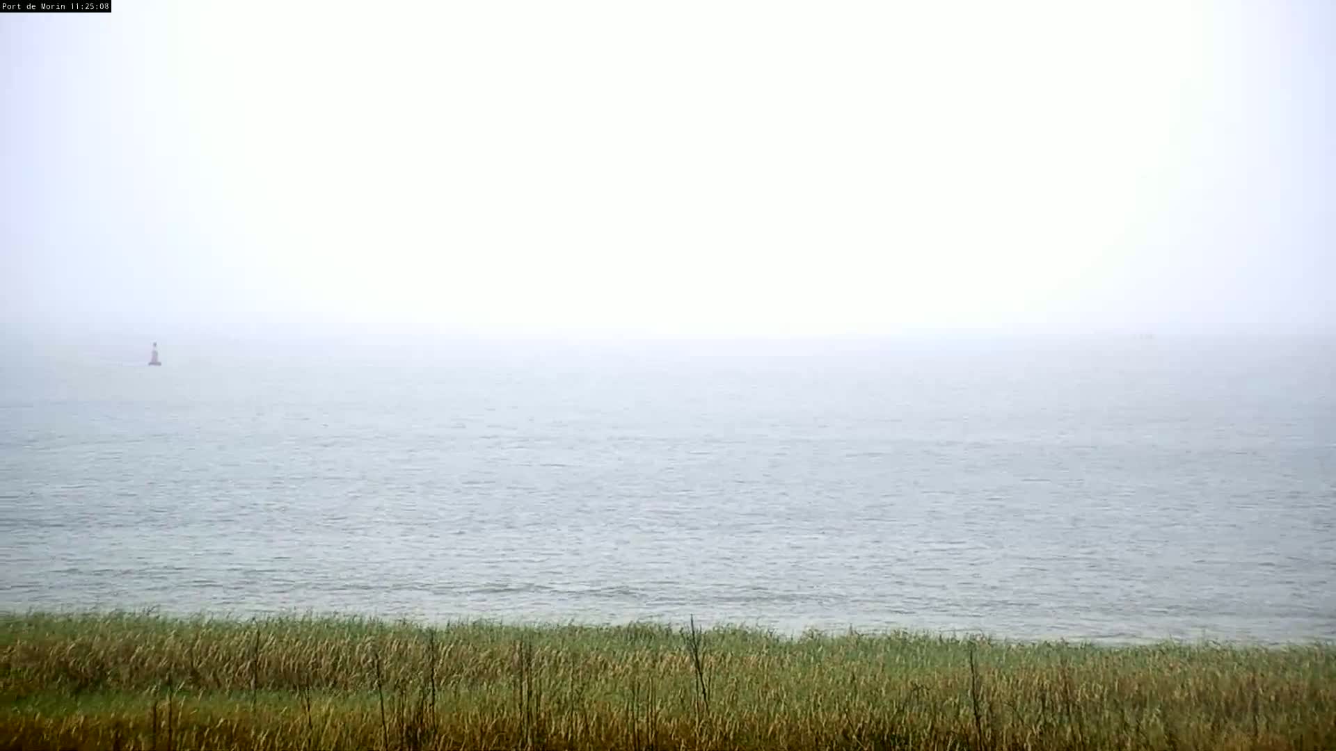 A small lighthouse is visible on a foggy, gray ocean behind a line of tall grass.