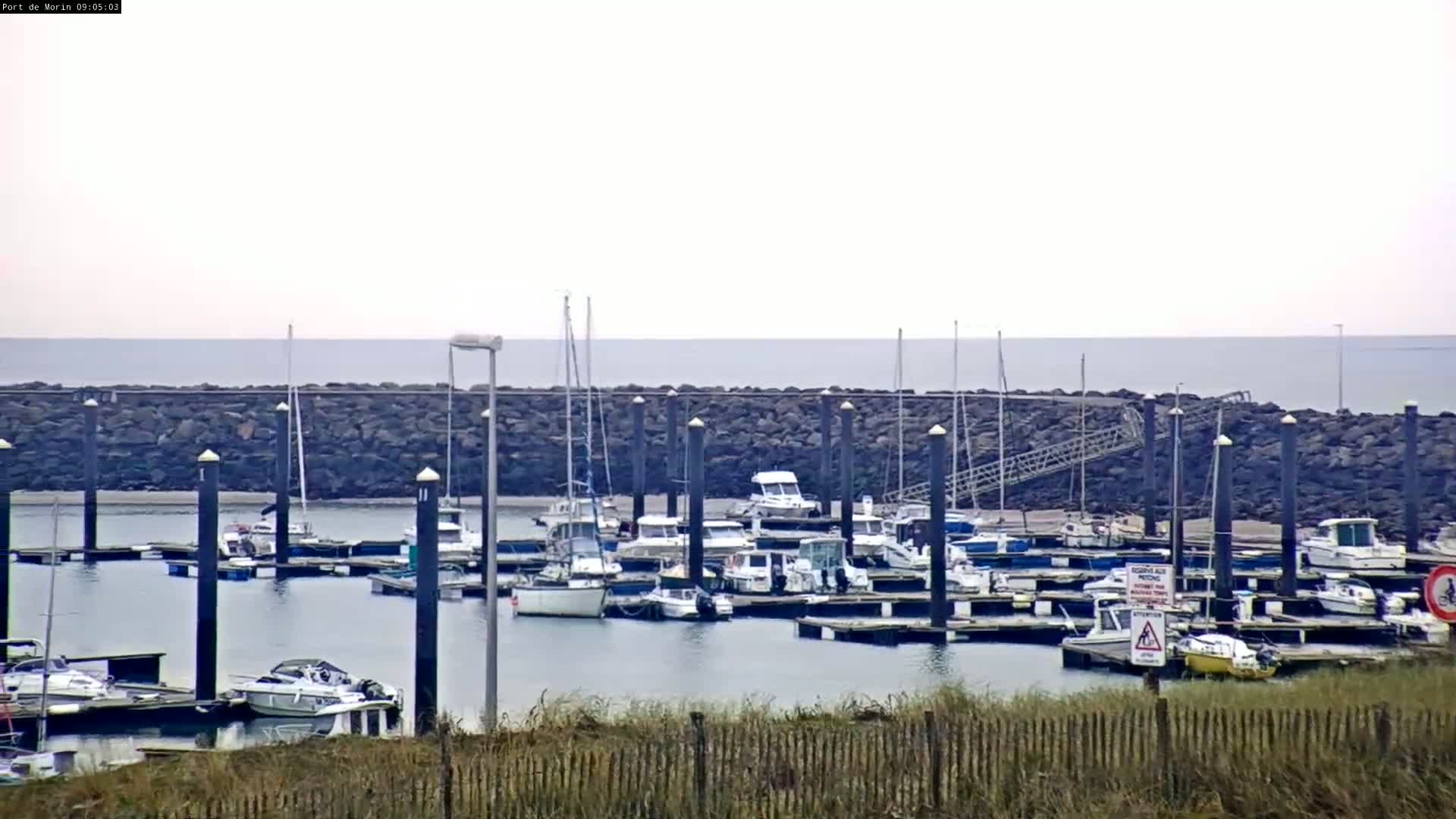 A marina filled with numerous boats and sailboats is situated on calm water under an overcast sky.