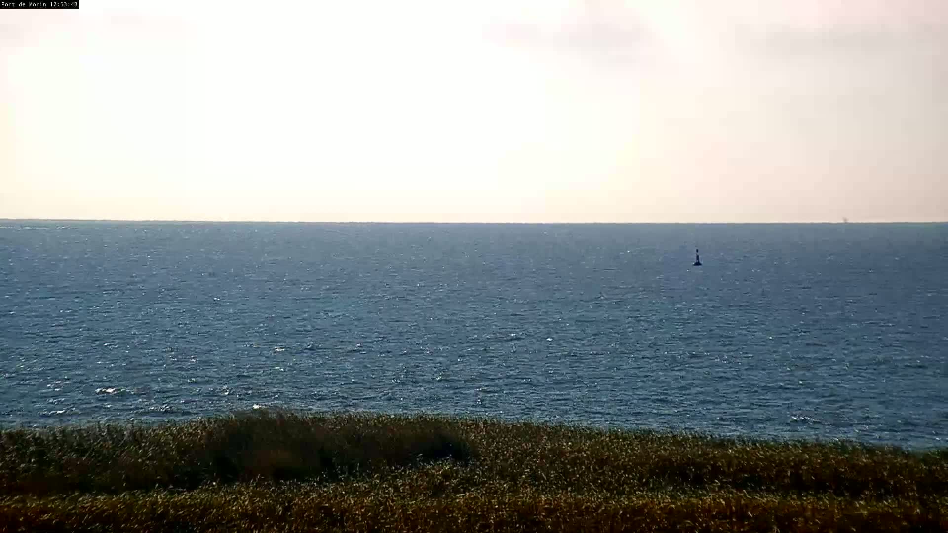A calm, bright sea is viewed from a grassy shoreline, with a single marker buoy visible in the distance.
