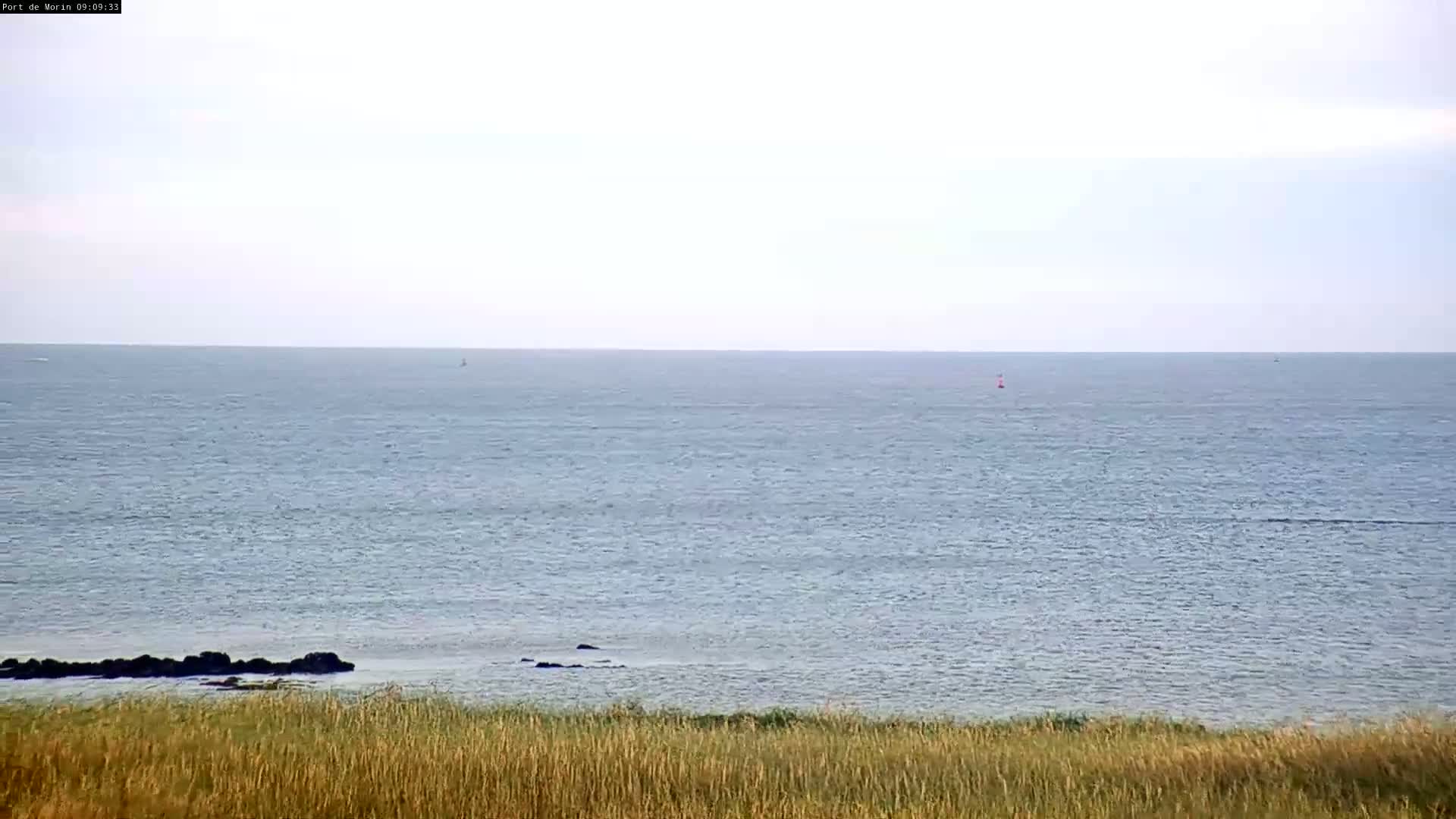 A calm sea stretches to the horizon under a light, overcast sky, viewed from behind a foreground of tall, dry grass.