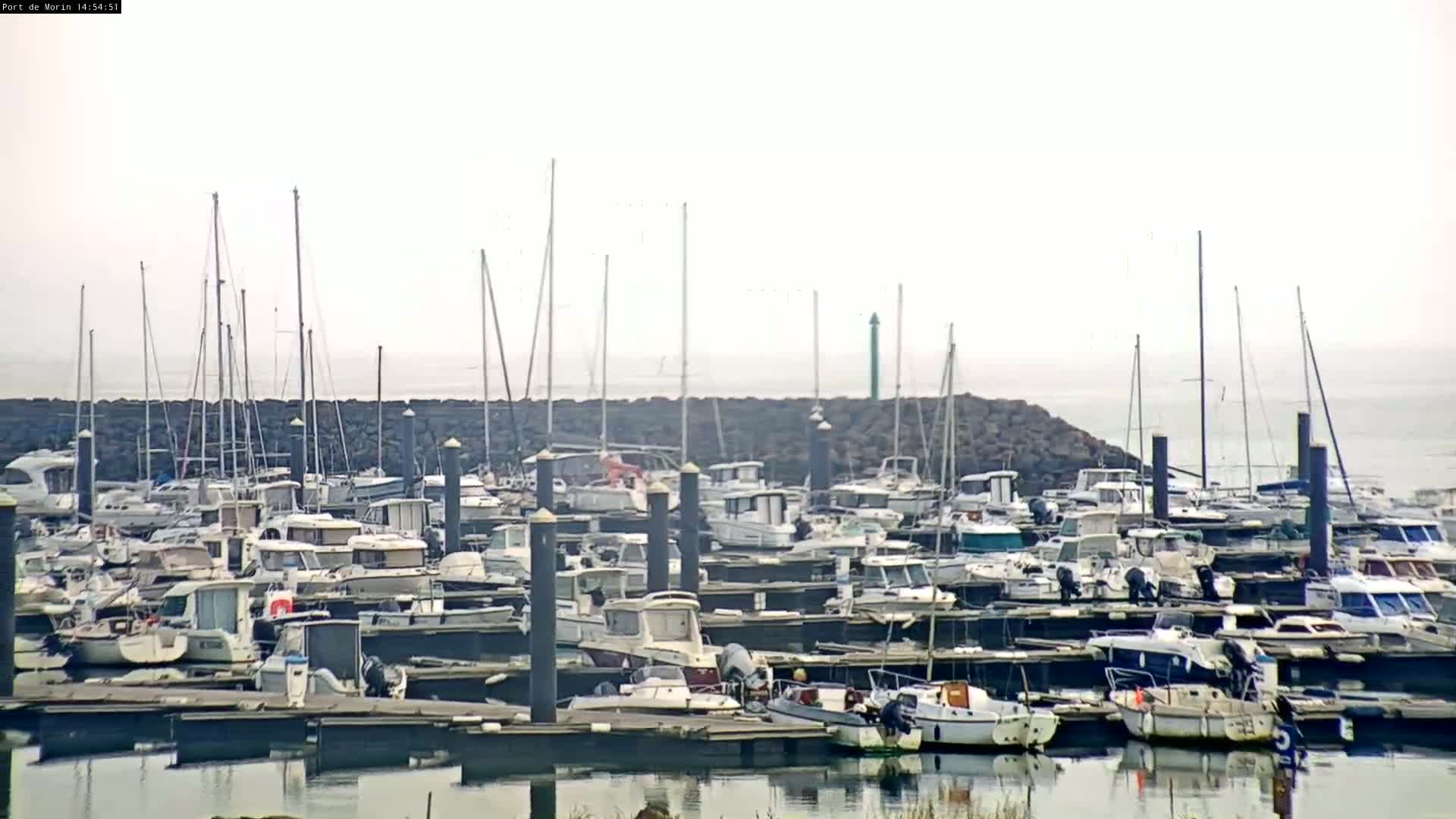 A marina filled with numerous boats and sailboats is visible under an overcast sky.