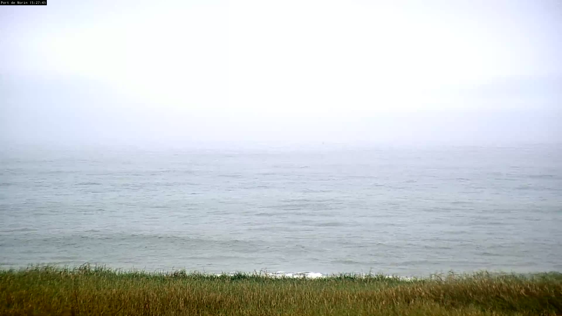 A hazy, gray ocean meets a line of tall grass under a foggy sky.