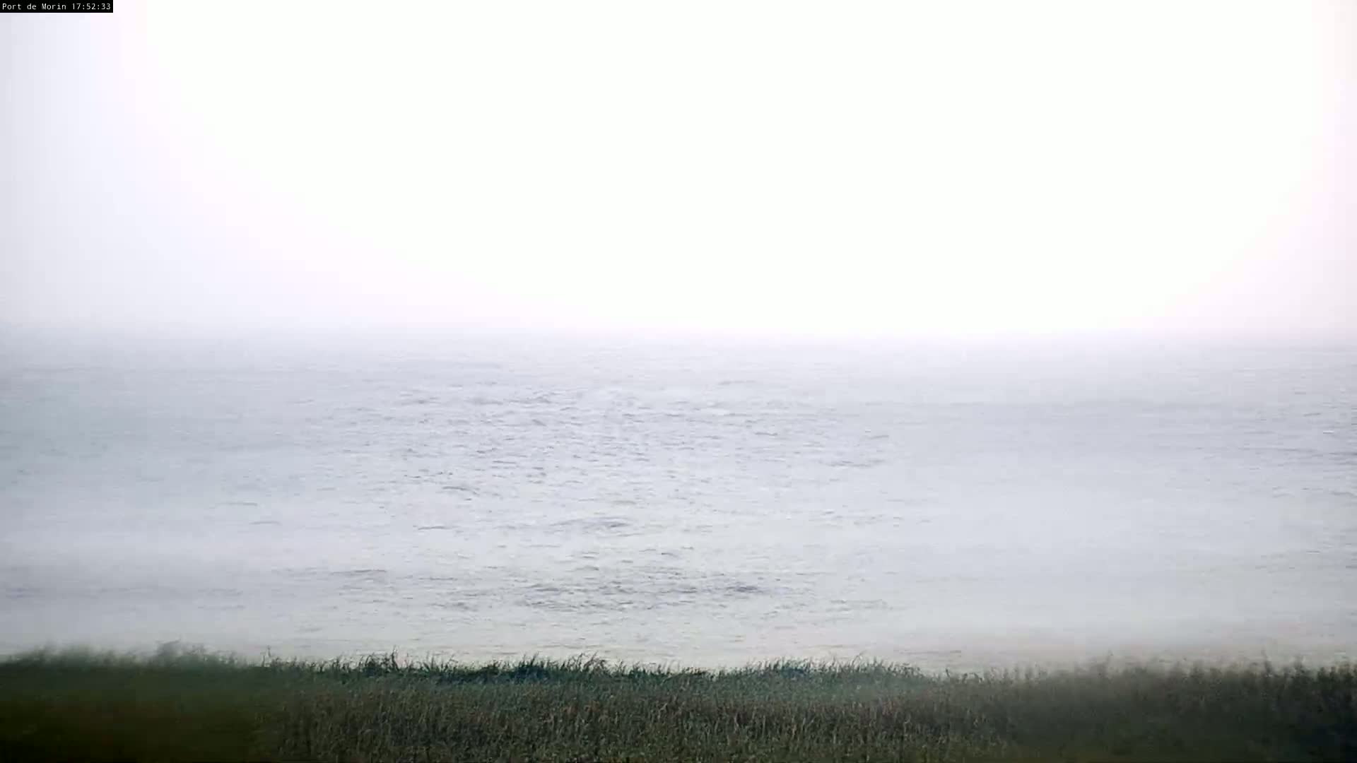 A foggy expanse of ocean is visible from a grassy shoreline.