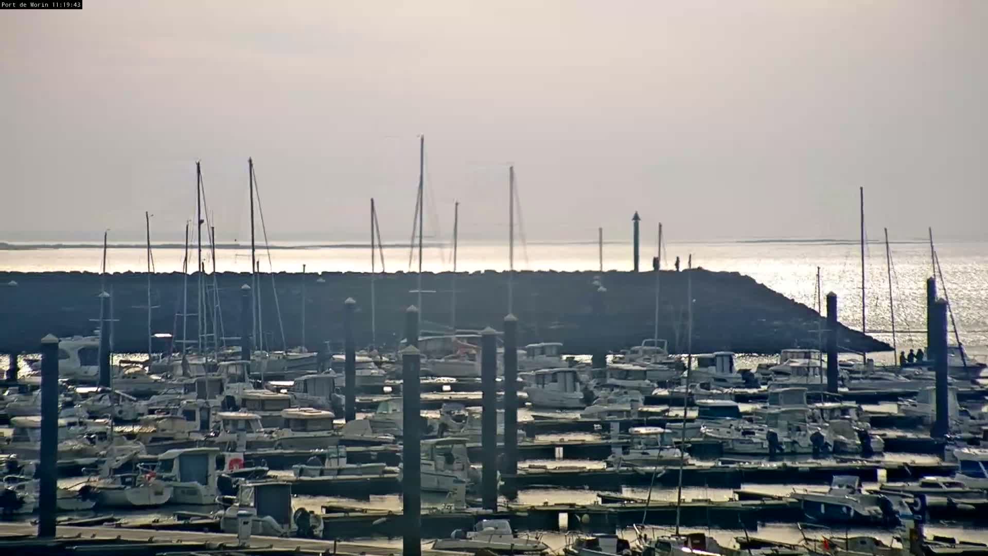 A calm, hazy day shows a marina filled with numerous boats moored at their docks, behind a low, dark breakwater that separates them from a mostly calm body of water.
