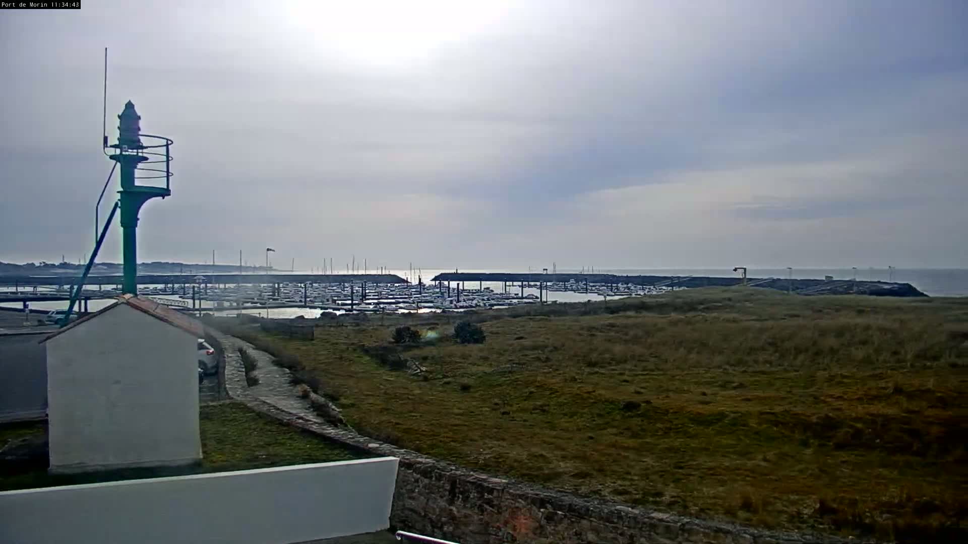 A marina filled with boats is visible from a vantage point overlooking a grassy field under an overcast sky.