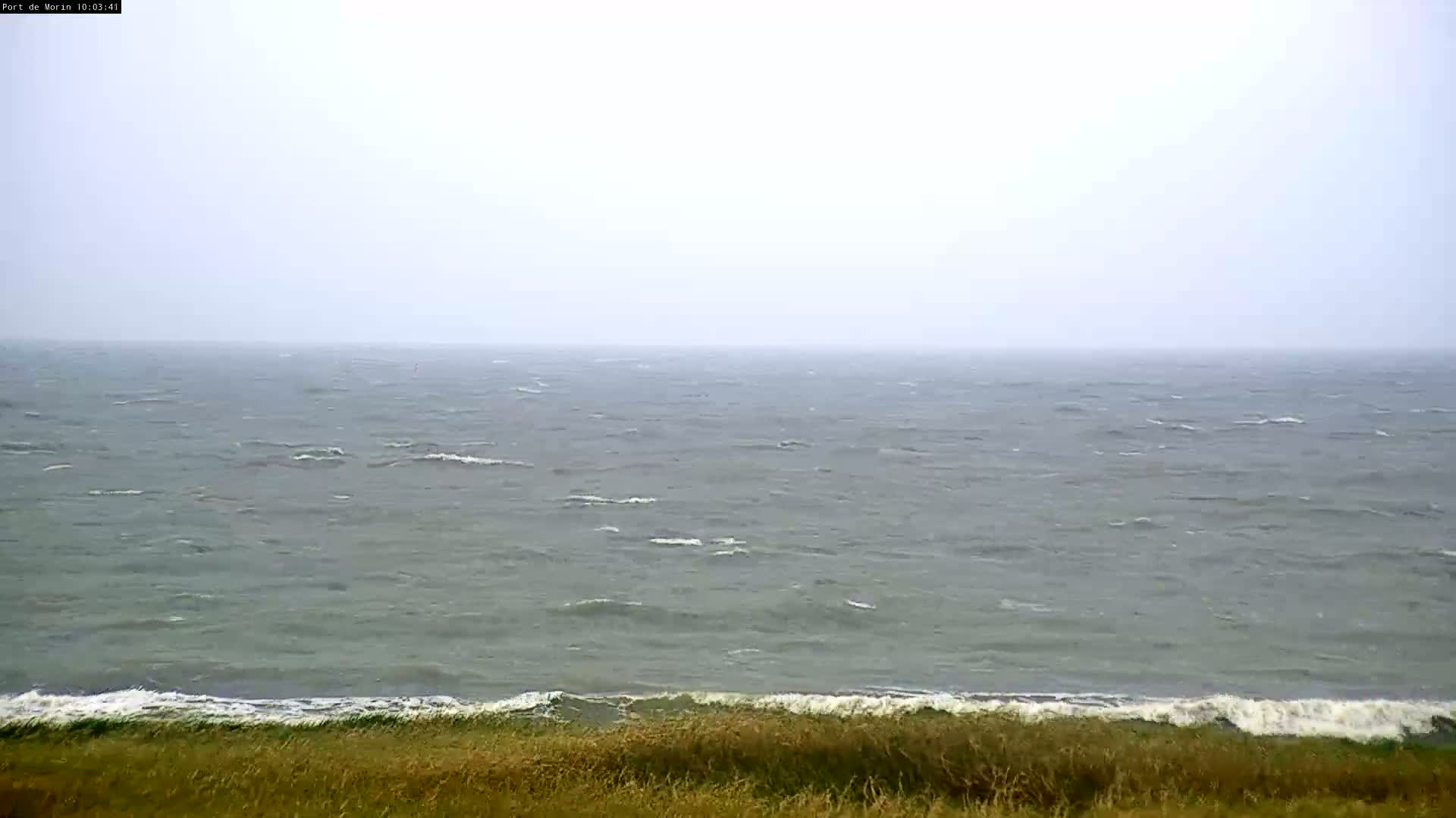 A choppy sea with small waves under an overcast sky meets a grassy shoreline.