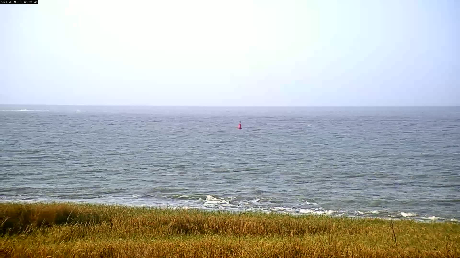 A calm ocean with a small red buoy and a foreground of tall, dry grass under a hazy sky.