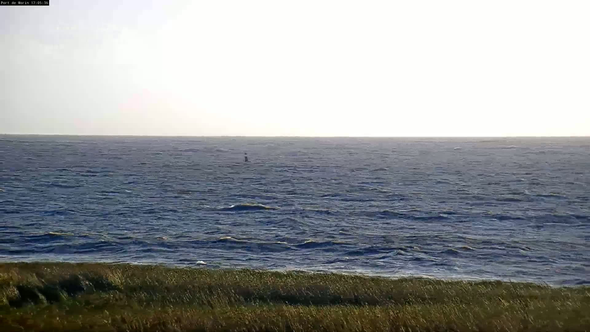 A body of water with small waves is seen from a shoreline with tall grasses under a mostly clear sky.