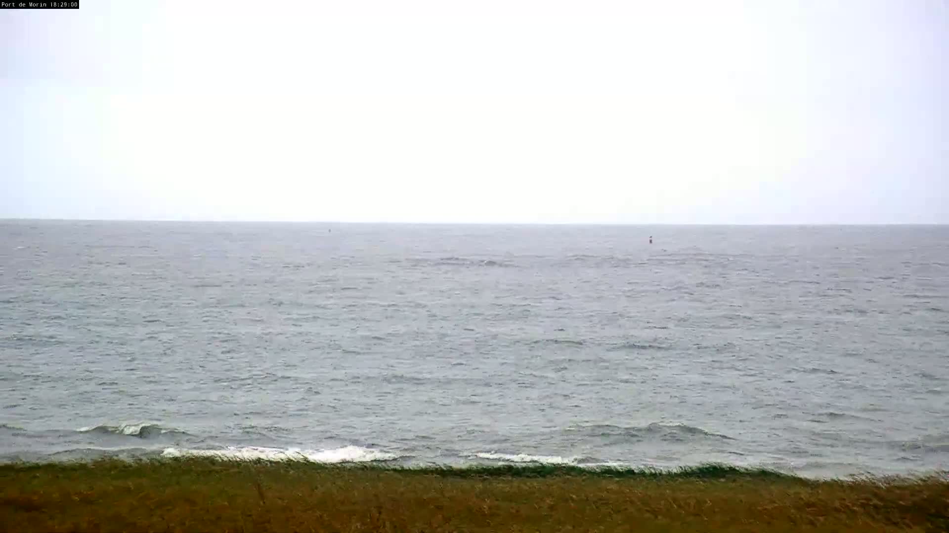 A calm, gray ocean with small waves laps against a grassy shore under an overcast sky.