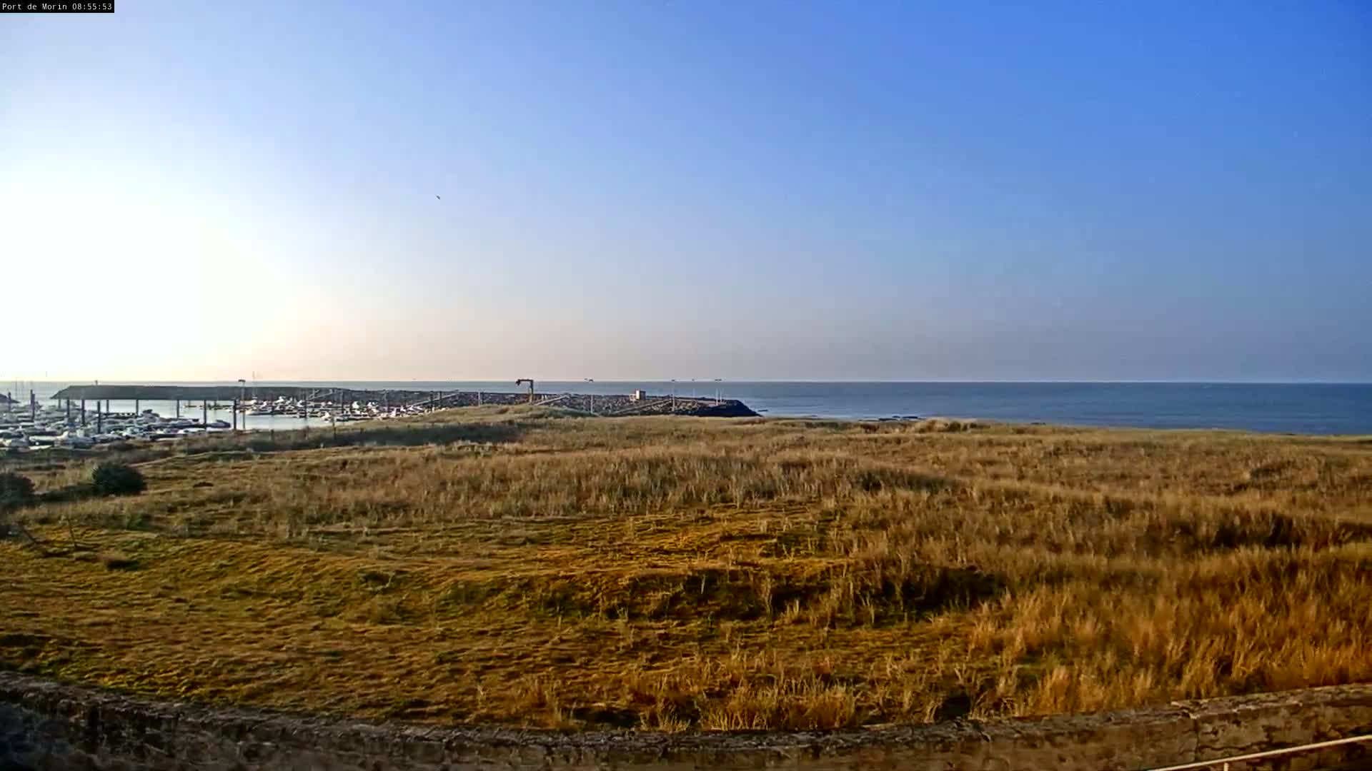 A calm ocean stretches to the horizon under a clear blue sky, beyond a field of tan grasses and a marina filled with boats.