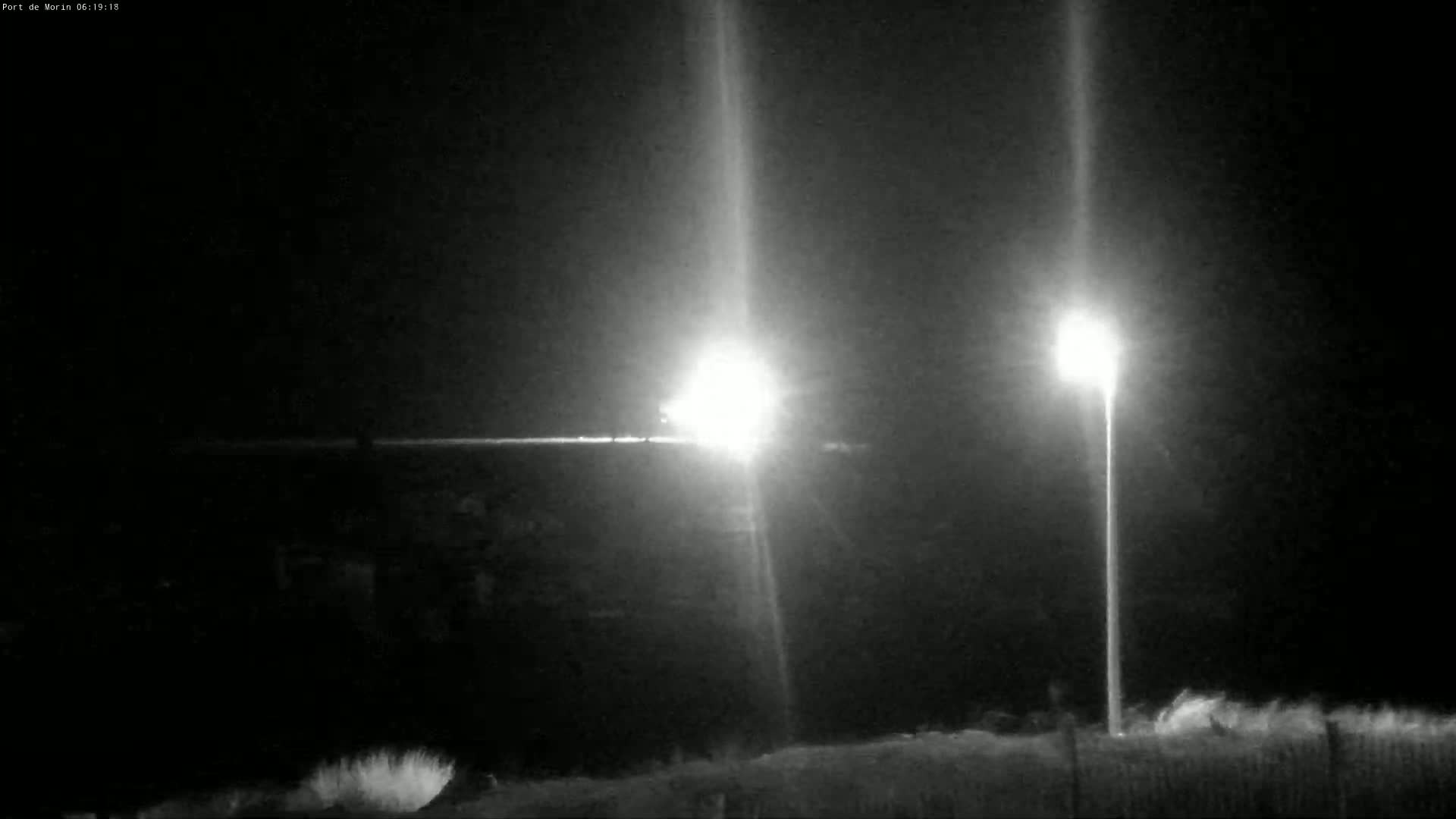 Two bright lights illuminate a dark, nighttime landscape with low-lying vegetation in the foreground.