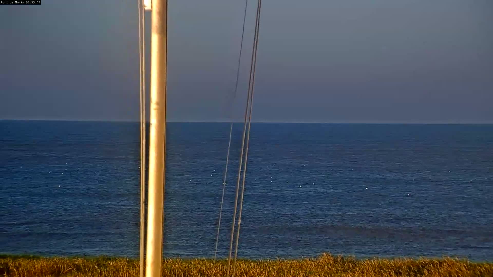 A calm, dark blue ocean is viewed from behind a tall, slender post with some thin wires attached; dry, tan grass is visible in the foreground.