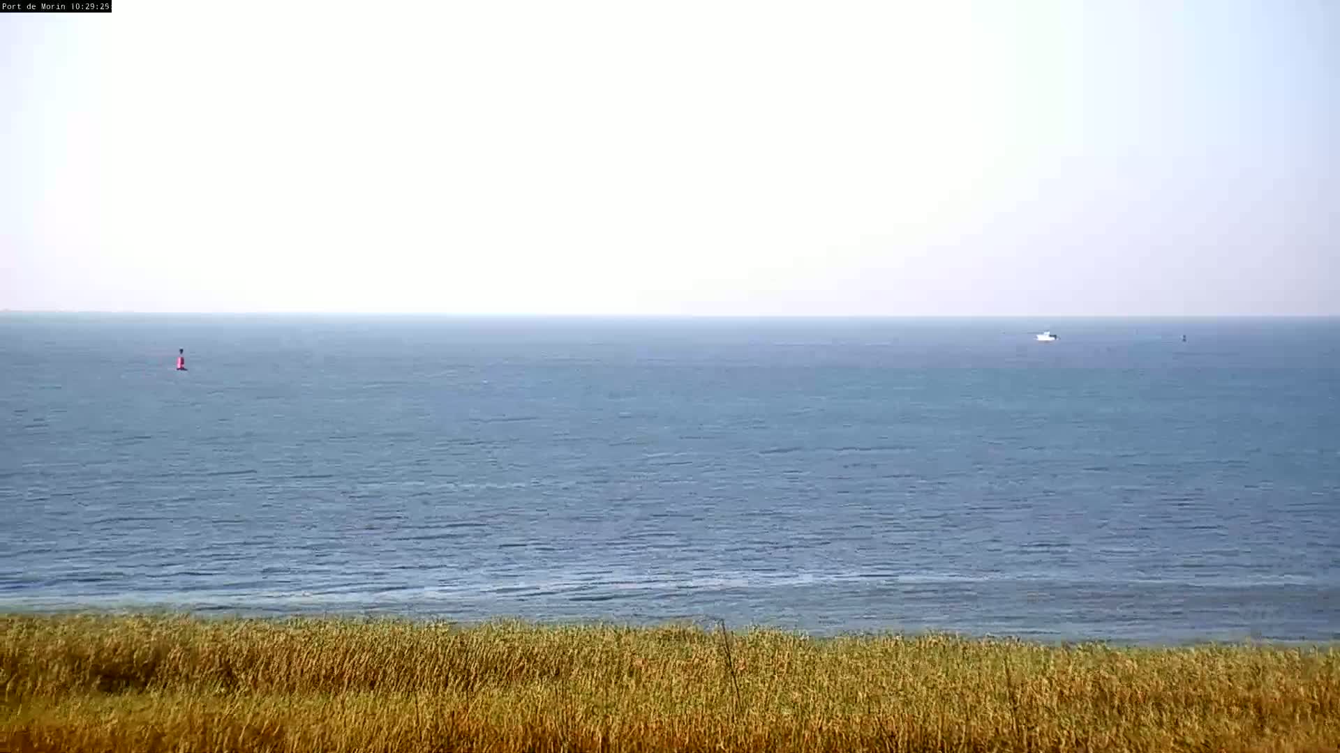 A calm, hazy ocean stretches to the horizon, a small boat visible in the distance, with tall grasses in the foreground.