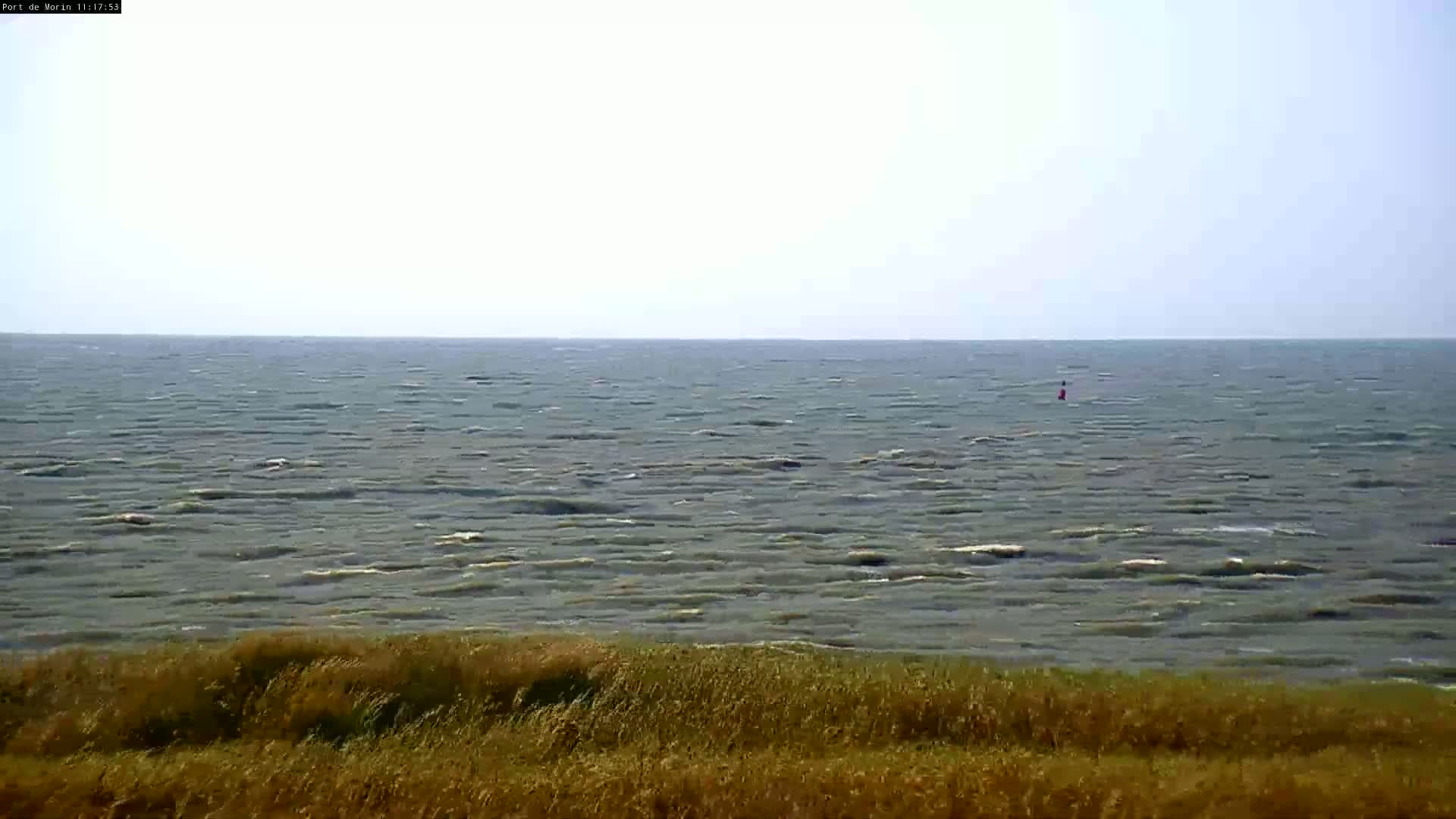 A slightly wavy sea is seen from a grassy dune under a hazy sky.