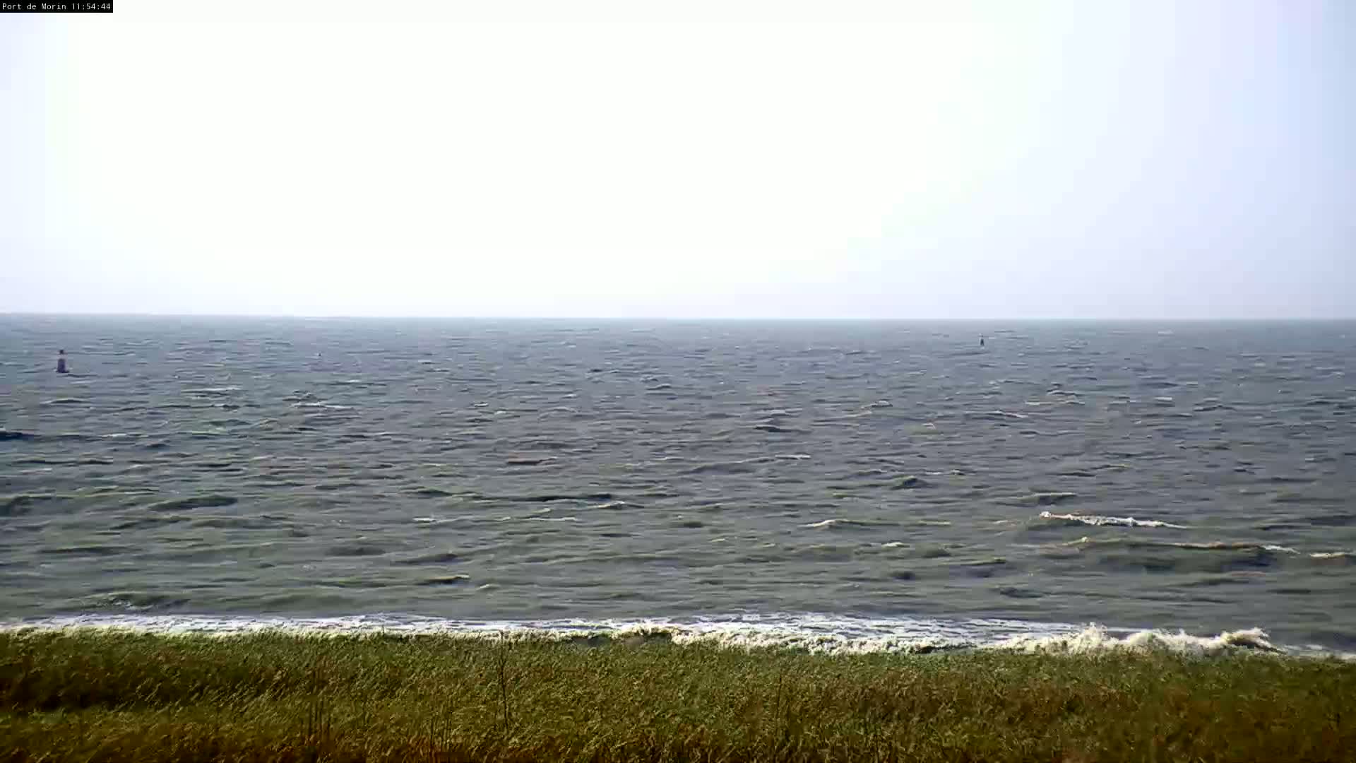 A moderately choppy sea meets a shoreline of tall grasses under an overcast sky.
