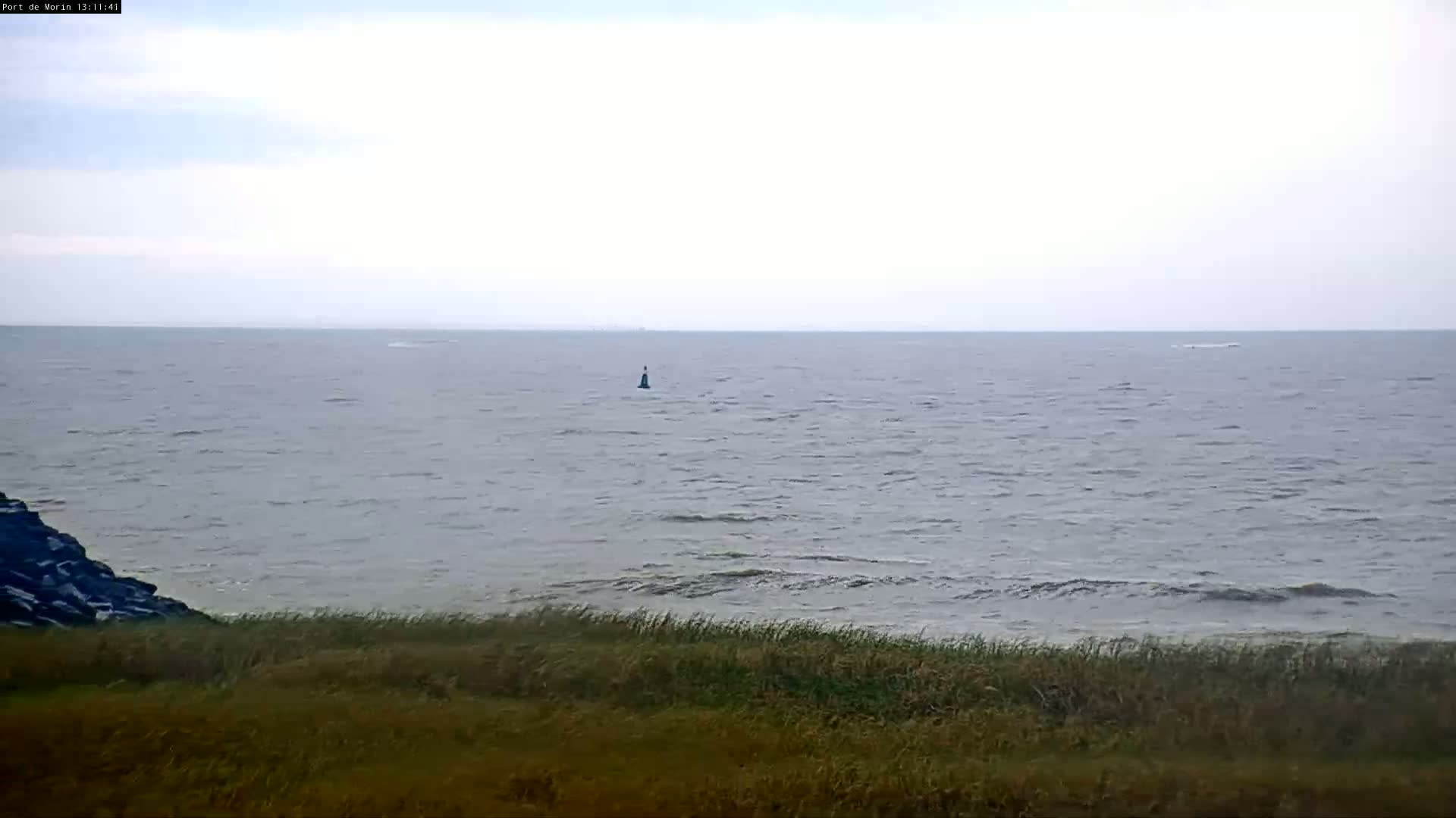 A body of water with small waves under an overcast sky is viewed from a grassy shoreline with a dark buoy visible in the distance.