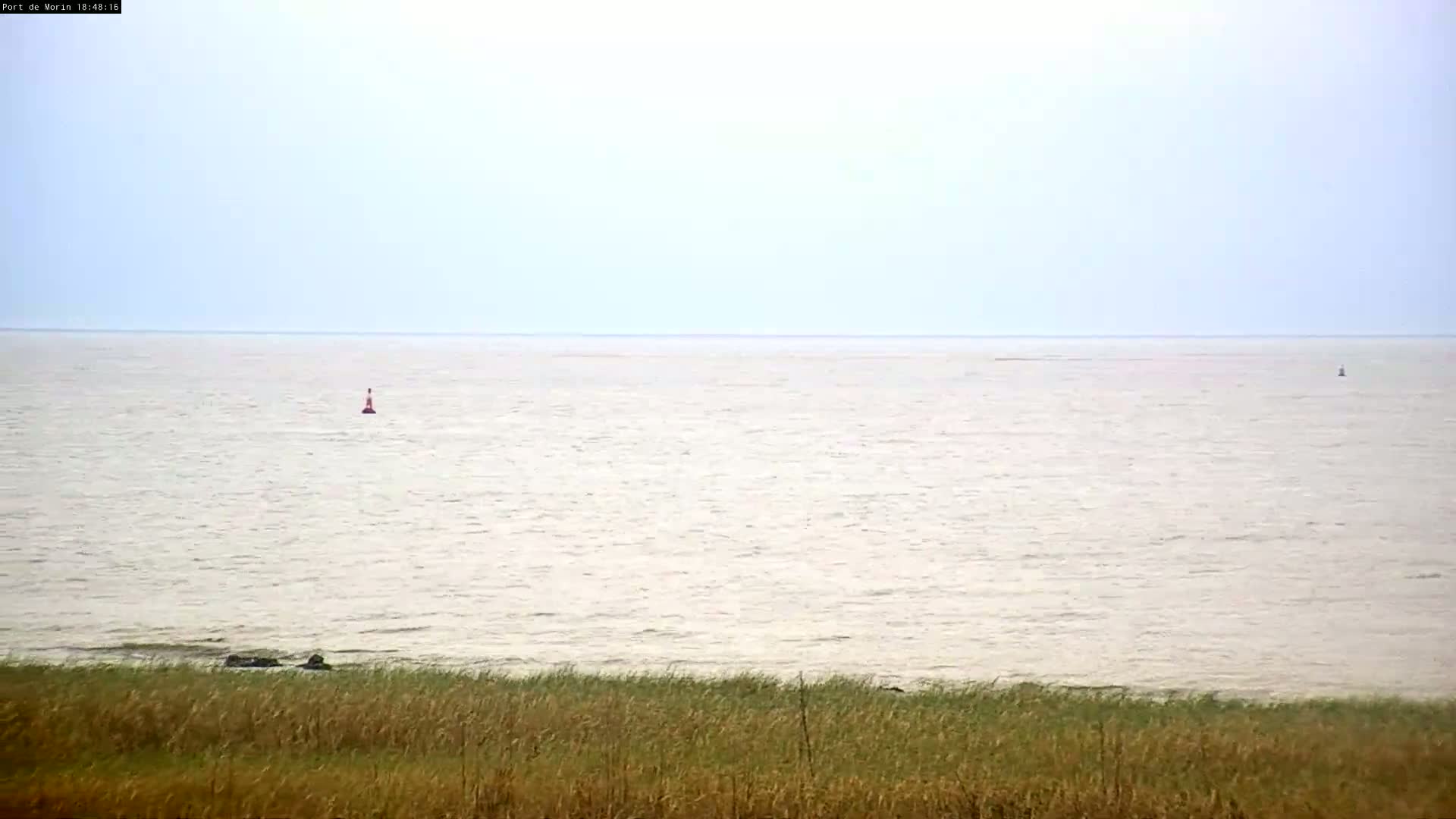 A calm, light-grey body of water stretches to the horizon, marked by a few small buoys, viewed from a grassy shore.