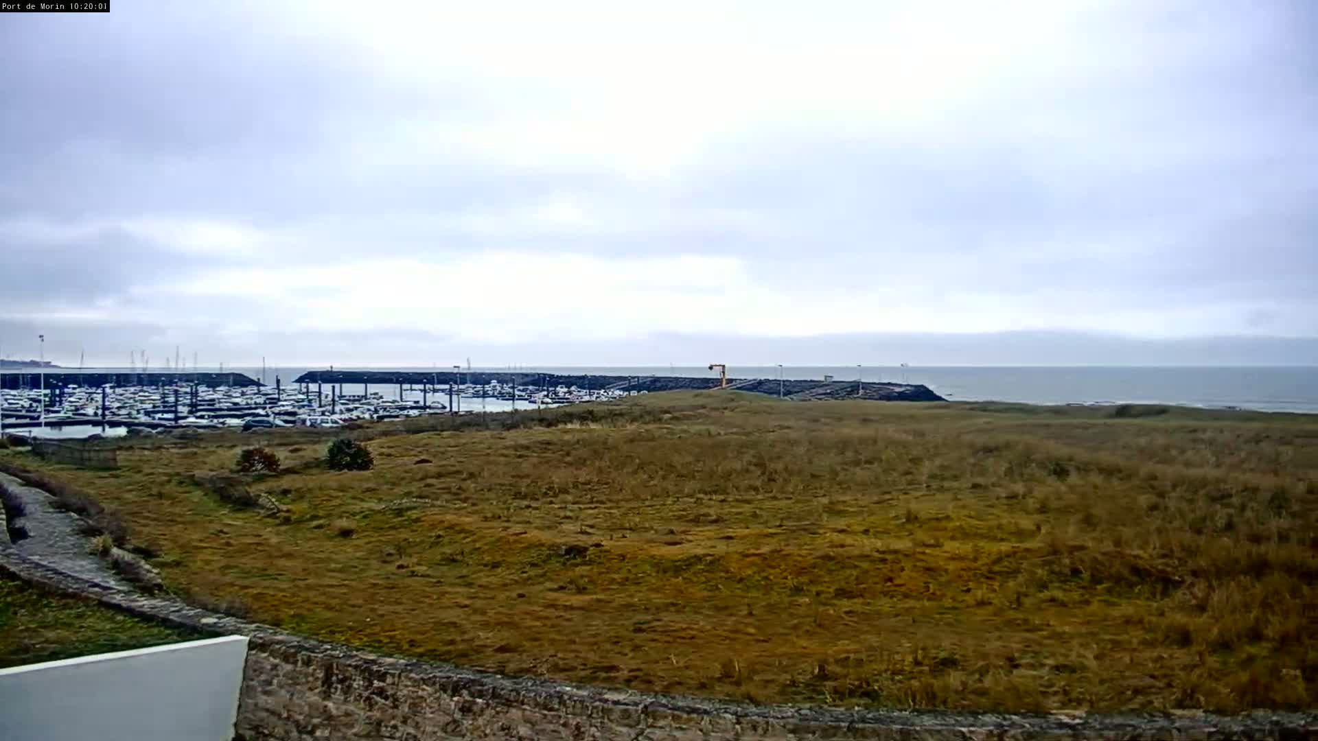 A view of a grassy field overlooking a marina filled with boats on an overcast day.