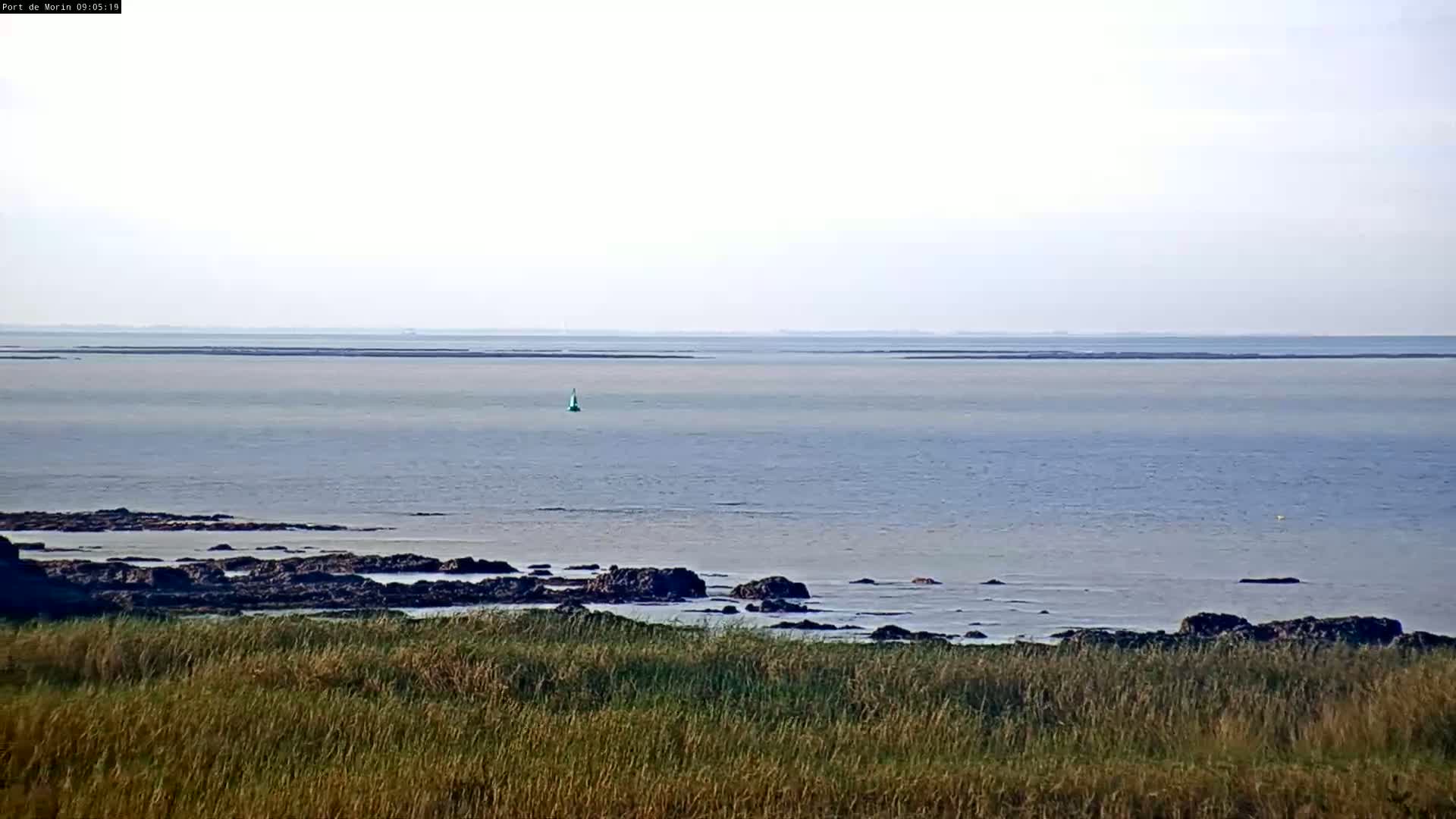 A calm, light-grey sea stretches to a hazy horizon, with dark rocks at the shoreline and tall grass in the foreground.