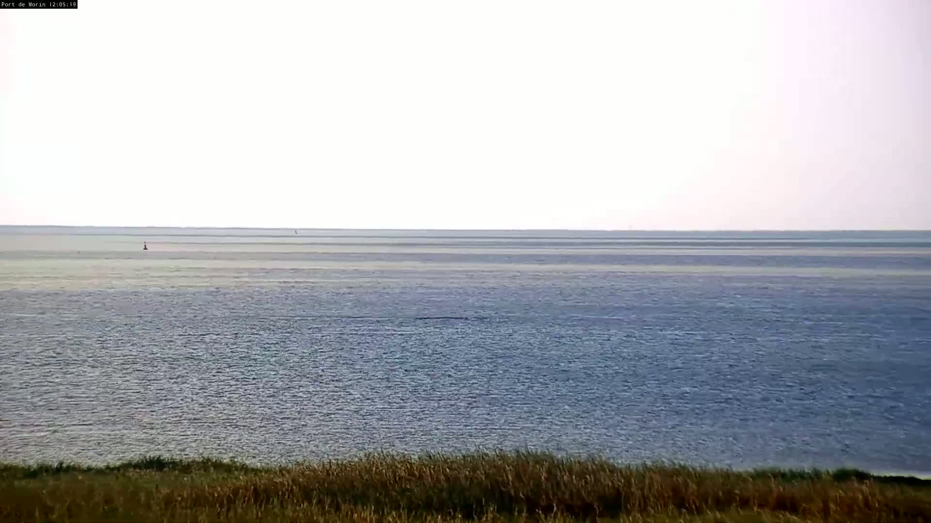 A calm, light-colored body of water is seen from an elevated vantage point, with tall grasses in the foreground under a mostly clear sky.