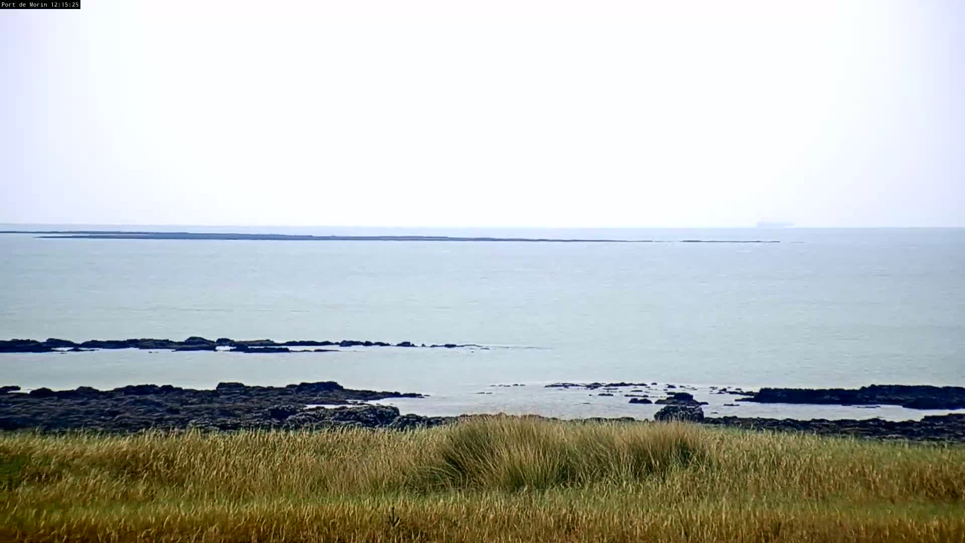 A calm, light-grey sea stretches to the horizon, with dark rocks visible in the foreground and a distant landmass, all viewed from behind tall, light-brown grass.