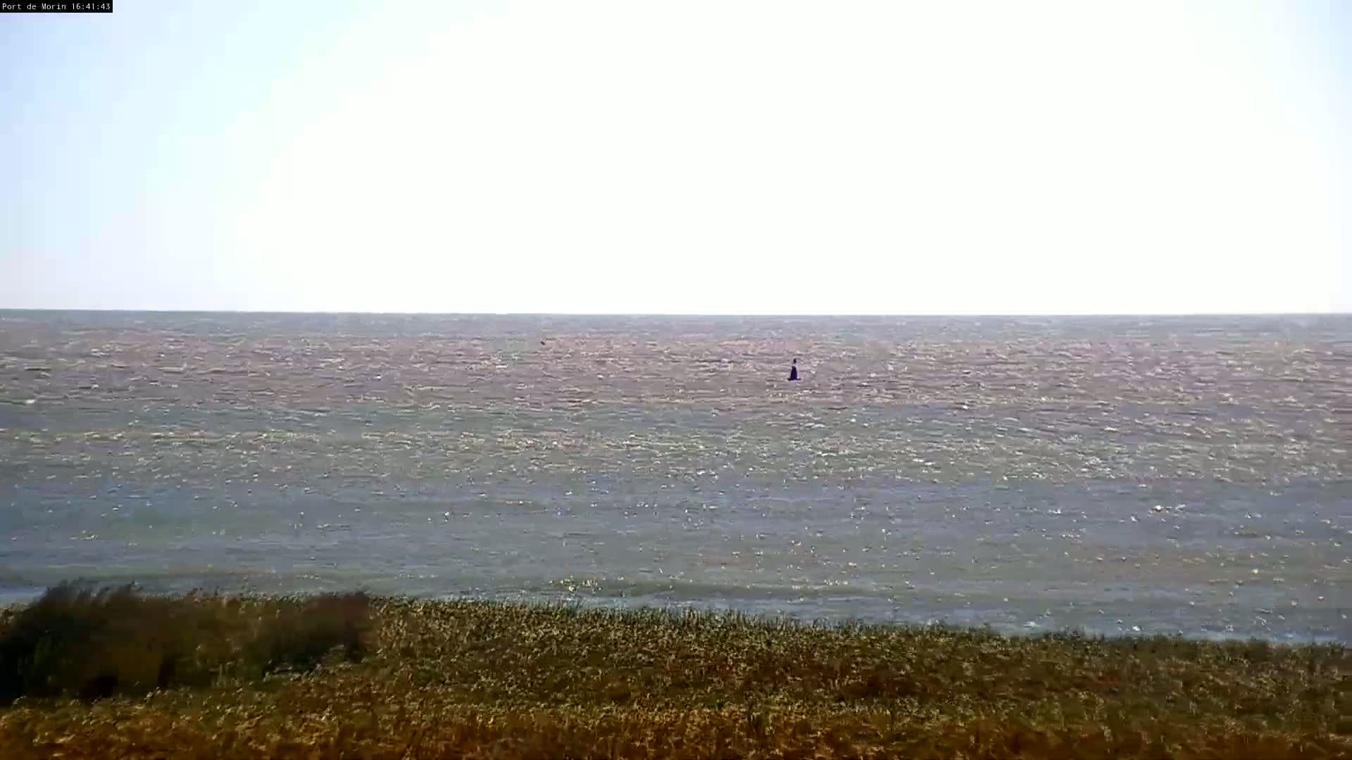 A mostly calm body of water with a small object in the distance is viewed from a shoreline covered in low-lying vegetation under a bright, clear sky.