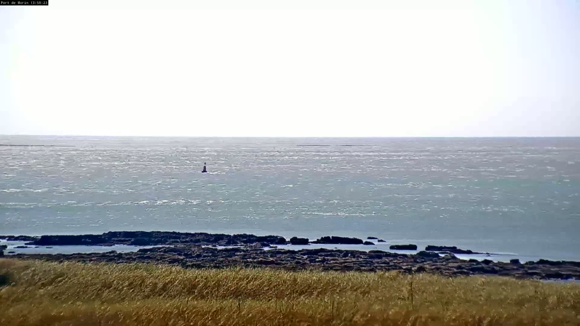 A calm, light-blue ocean with a small buoy in the distance is viewed from a grassy shoreline with dark rocks visible near the water's edge.