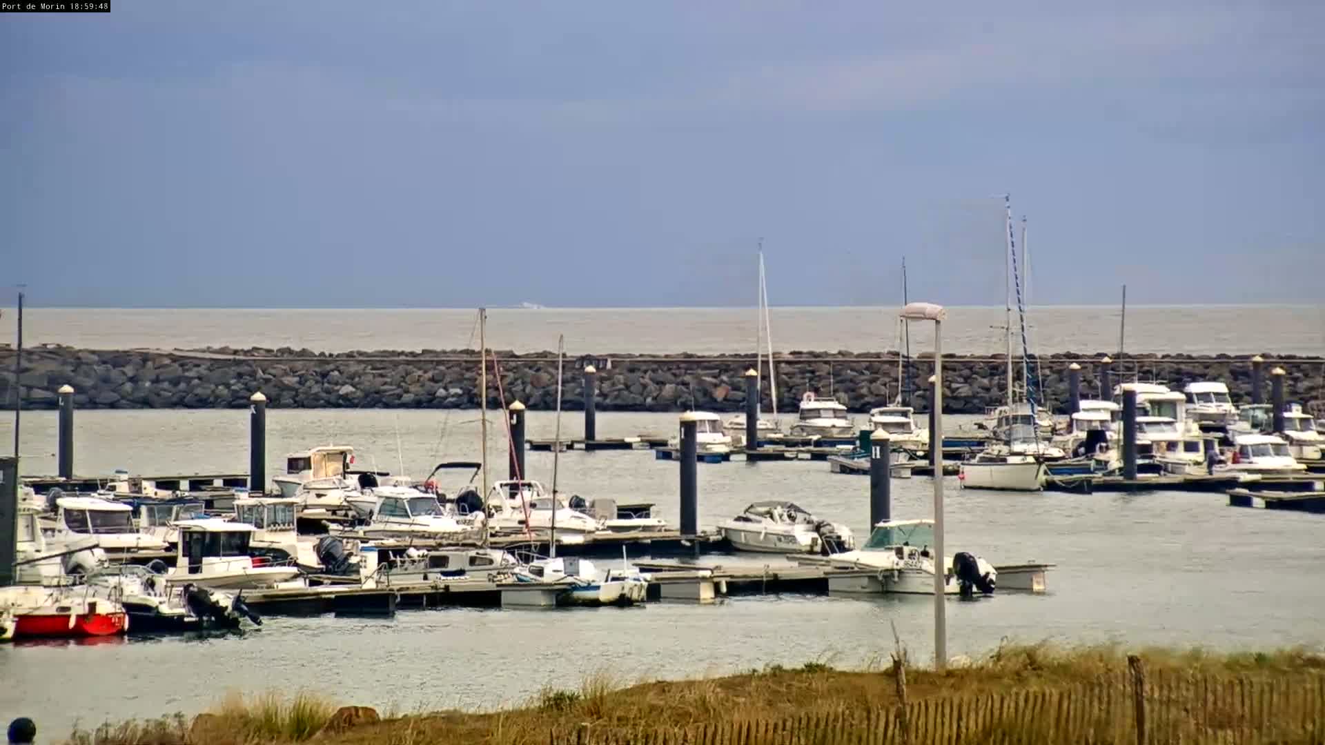 Numerous boats are docked at a marina, with a calm sea and overcast sky in the background.