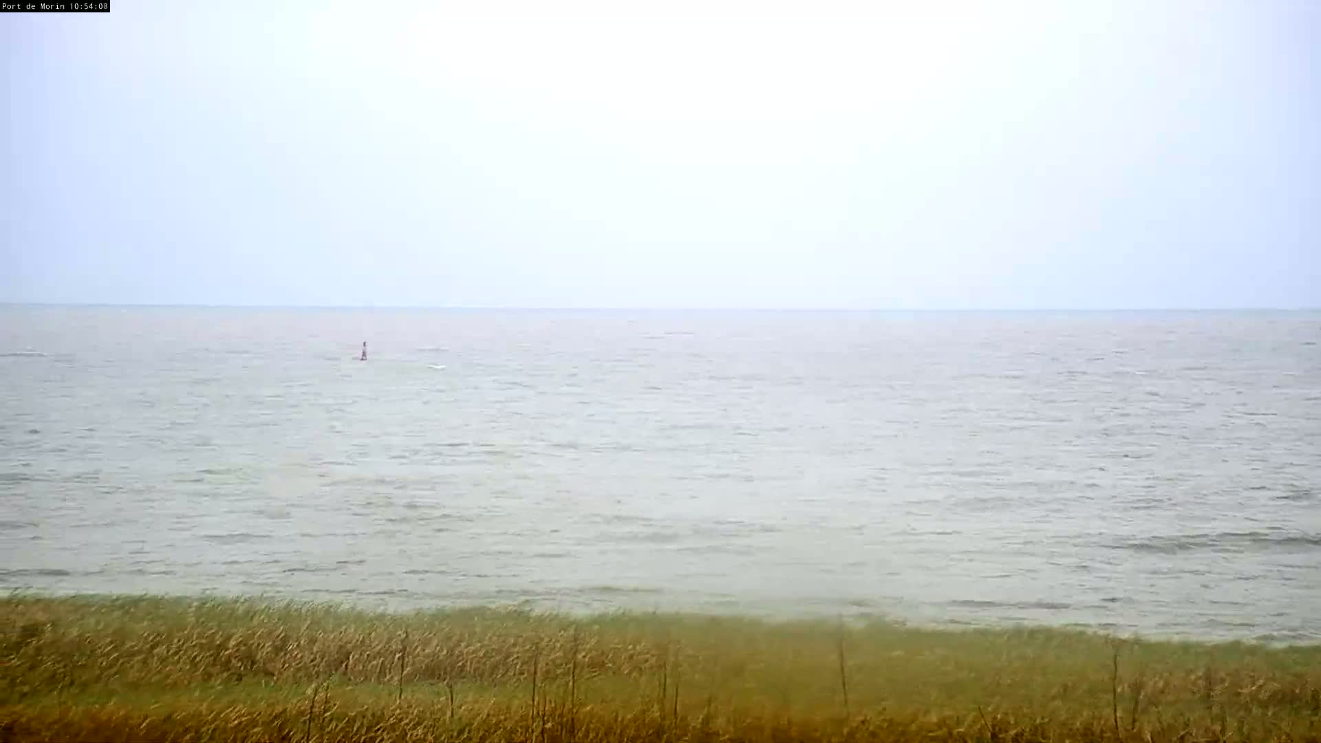 A calm, overcast day shows a body of water with a small object in the distance, bordered by tall grasses.