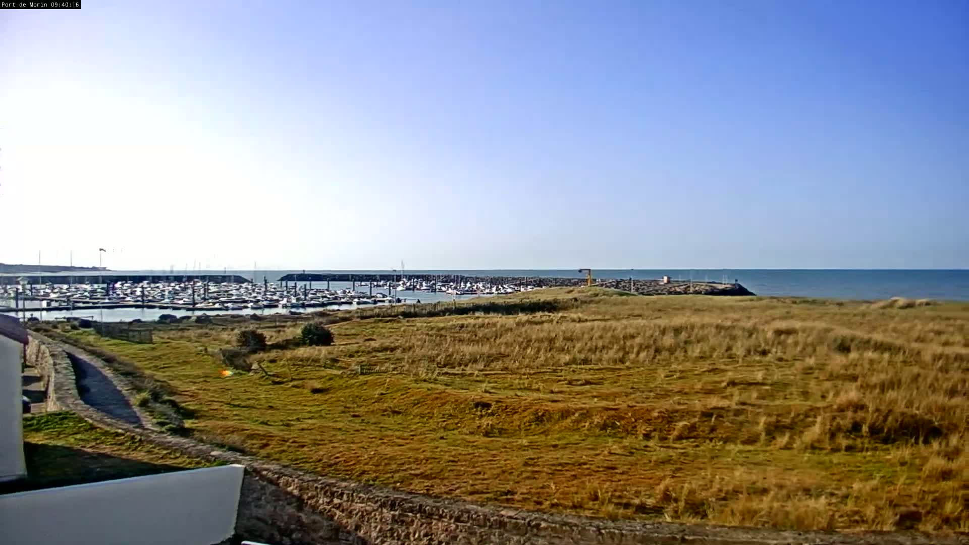 A view of a marina filled with boats, situated behind a grassy area overlooking a calm ocean under a clear blue sky.