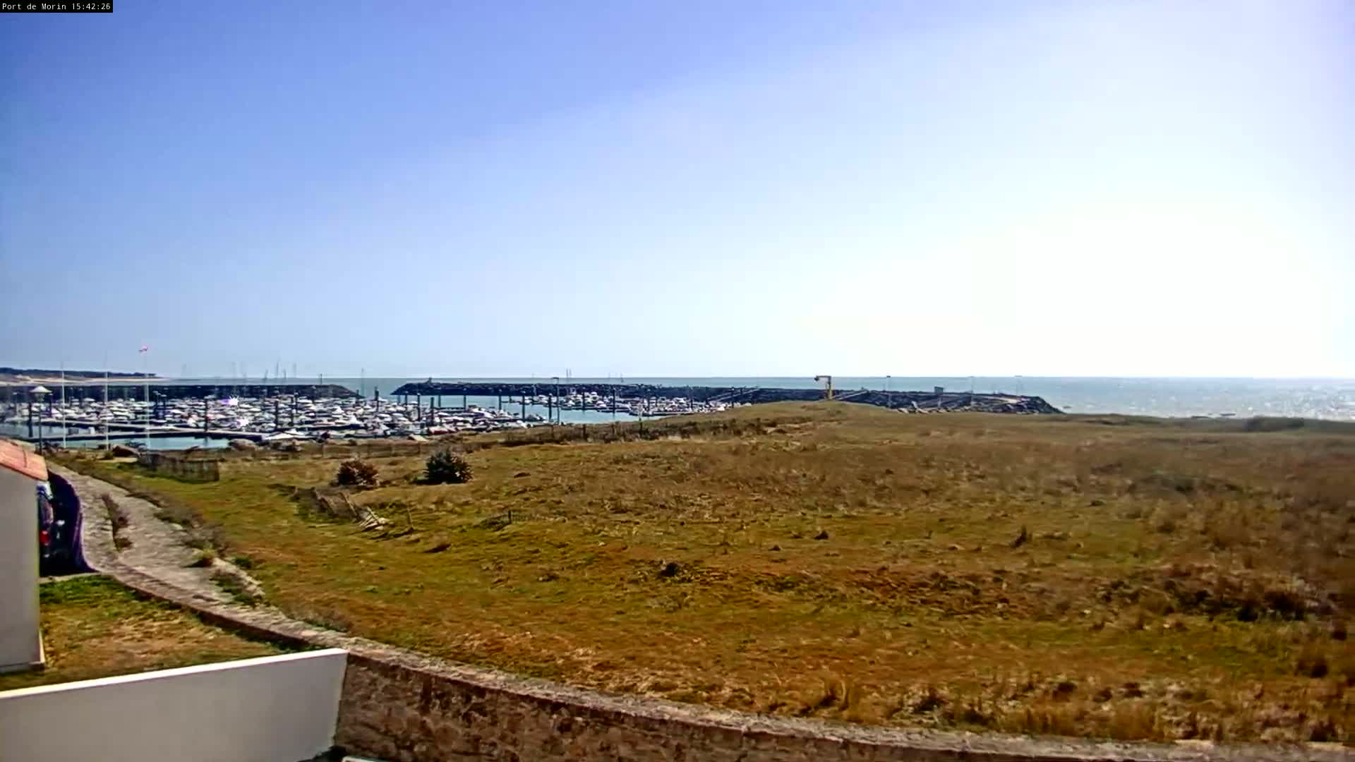 A grassy field overlooks a harbor filled with boats, under a clear blue sky.