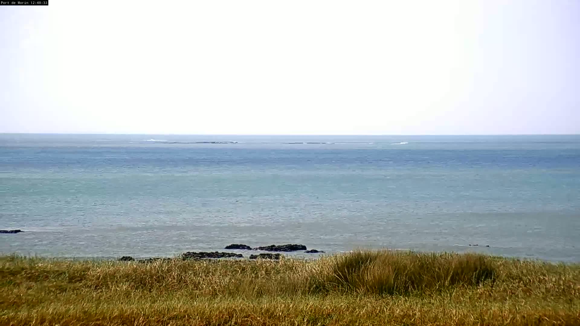 A calm, light-grey ocean stretches to the horizon, viewed from a grassy hilltop with dark rocks visible near the shore.