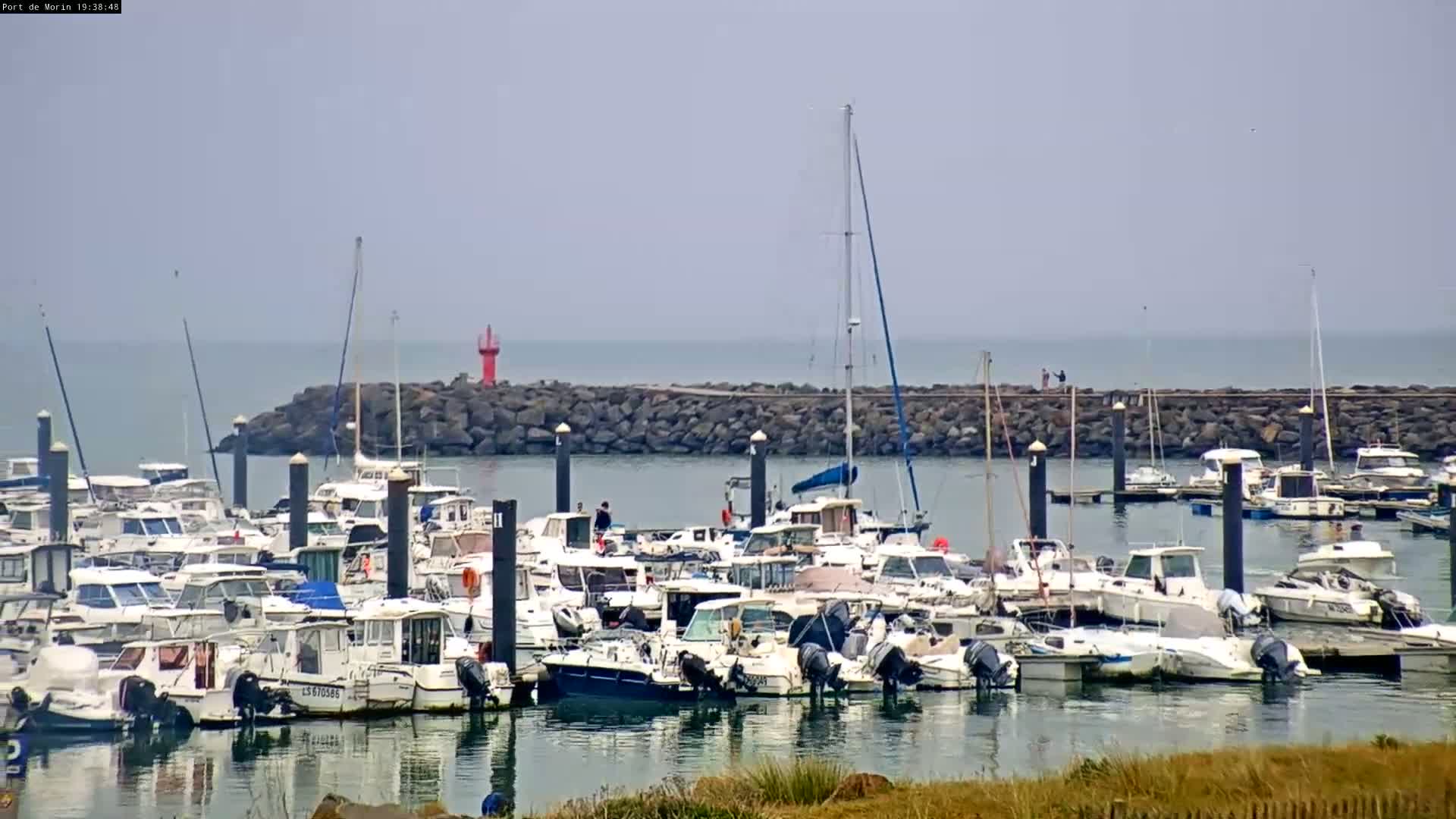 Many white motorboats and sailboats are docked in a harbor on a hazy day.