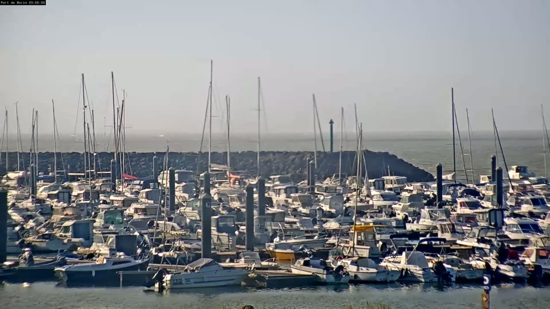 A large marina filled with numerous boats and yachts is seen on a hazy day.