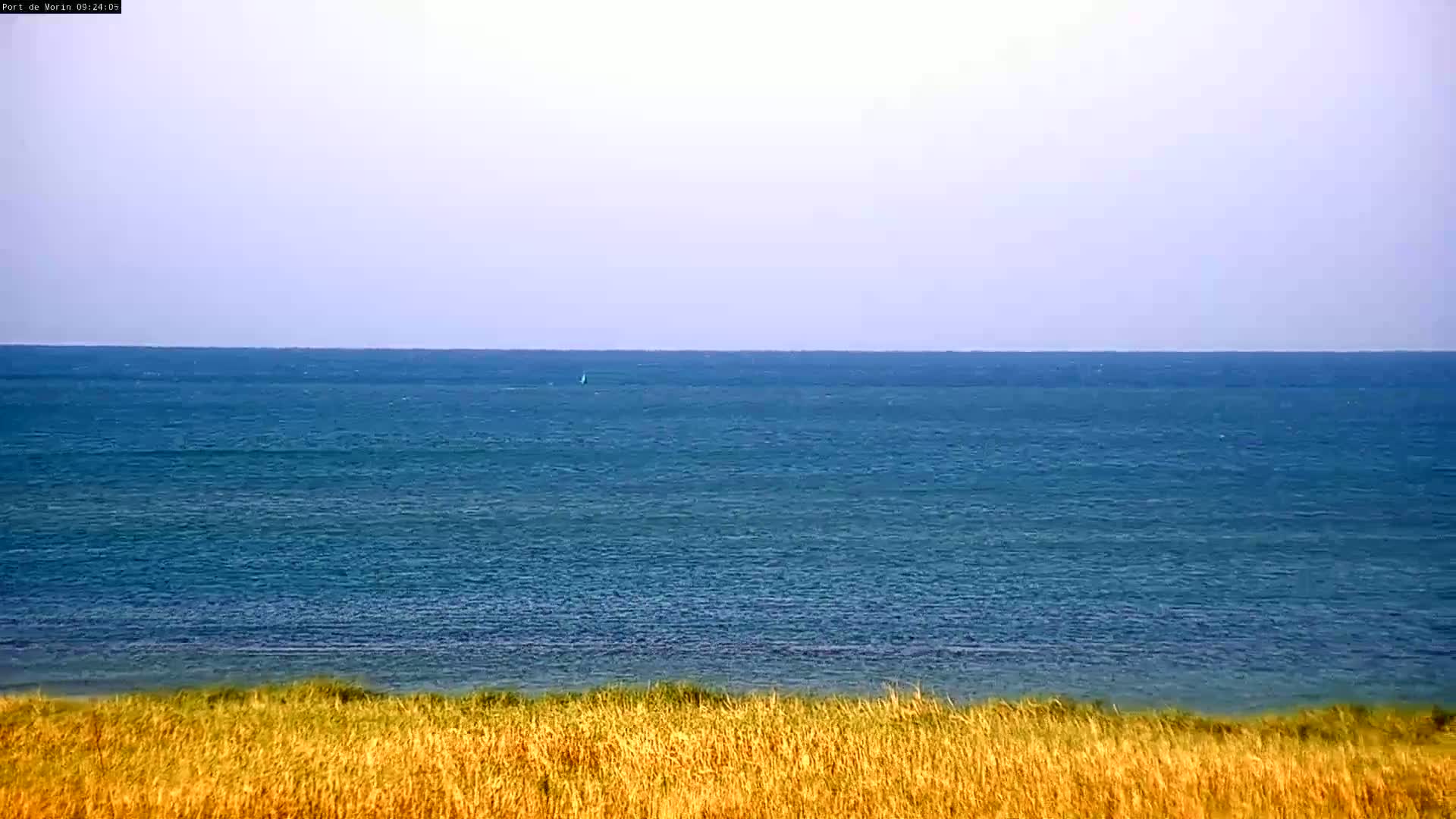 A calm, blue ocean stretches to the horizon, meeting a foreground of tall, golden grass under a clear sky.